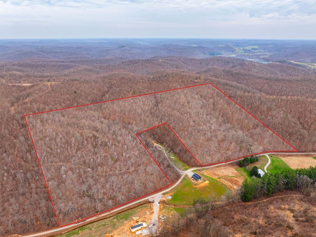 31382 Stevens Branch Road Property Photo 1