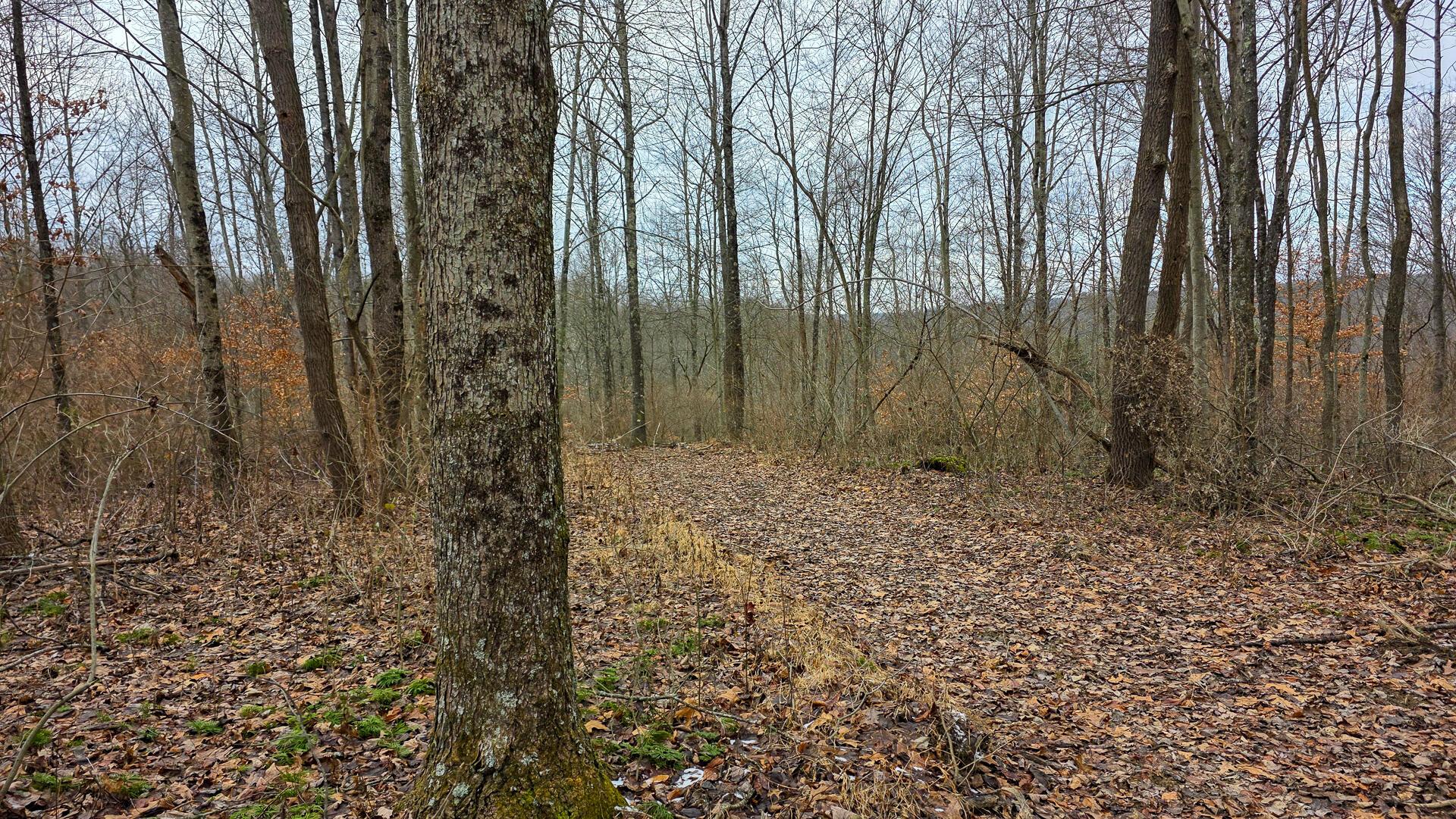 7893 Scenic Road Se, (lot 12 At Scenic Trails) Property Photo 33