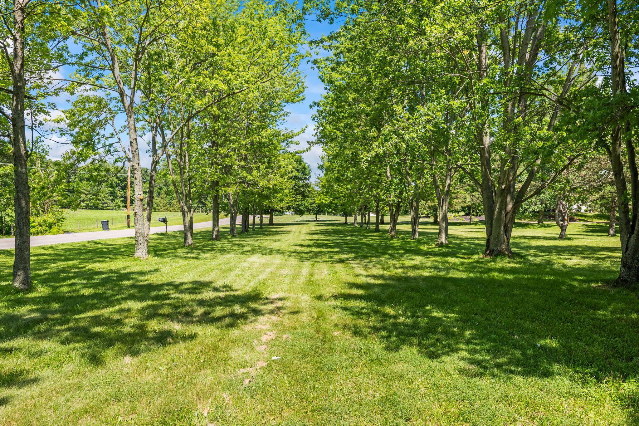 12899 Taylor Road Property Photo 90
