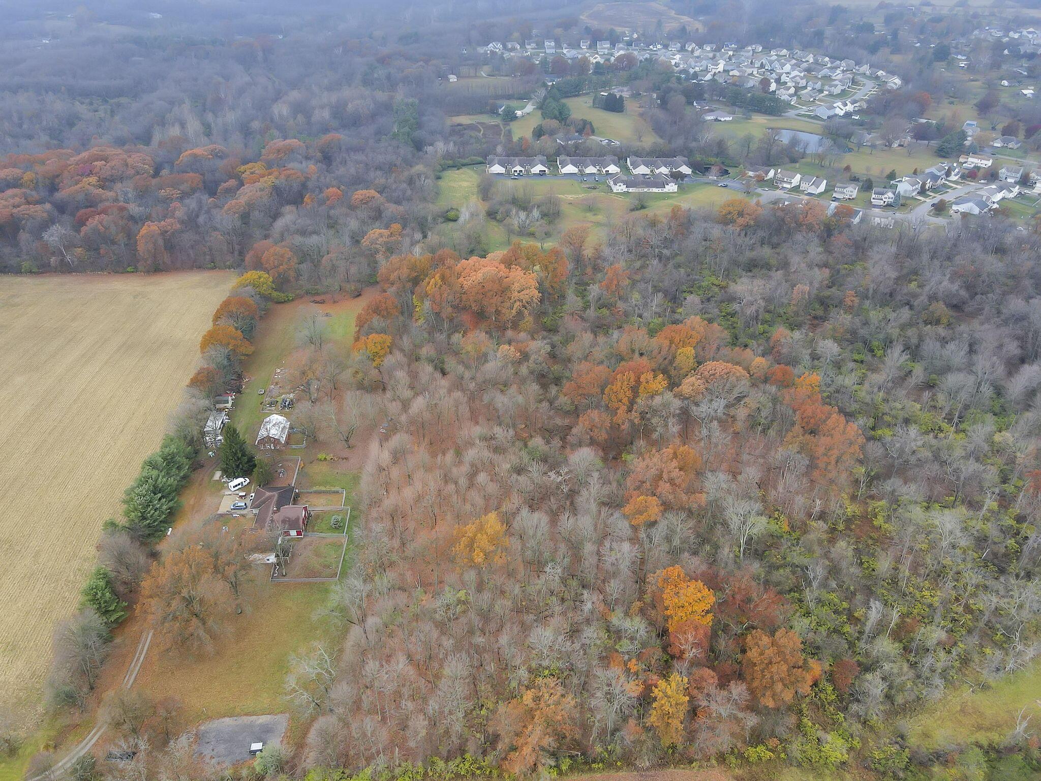 0 Sycamore Bluff Way Property Photo 3