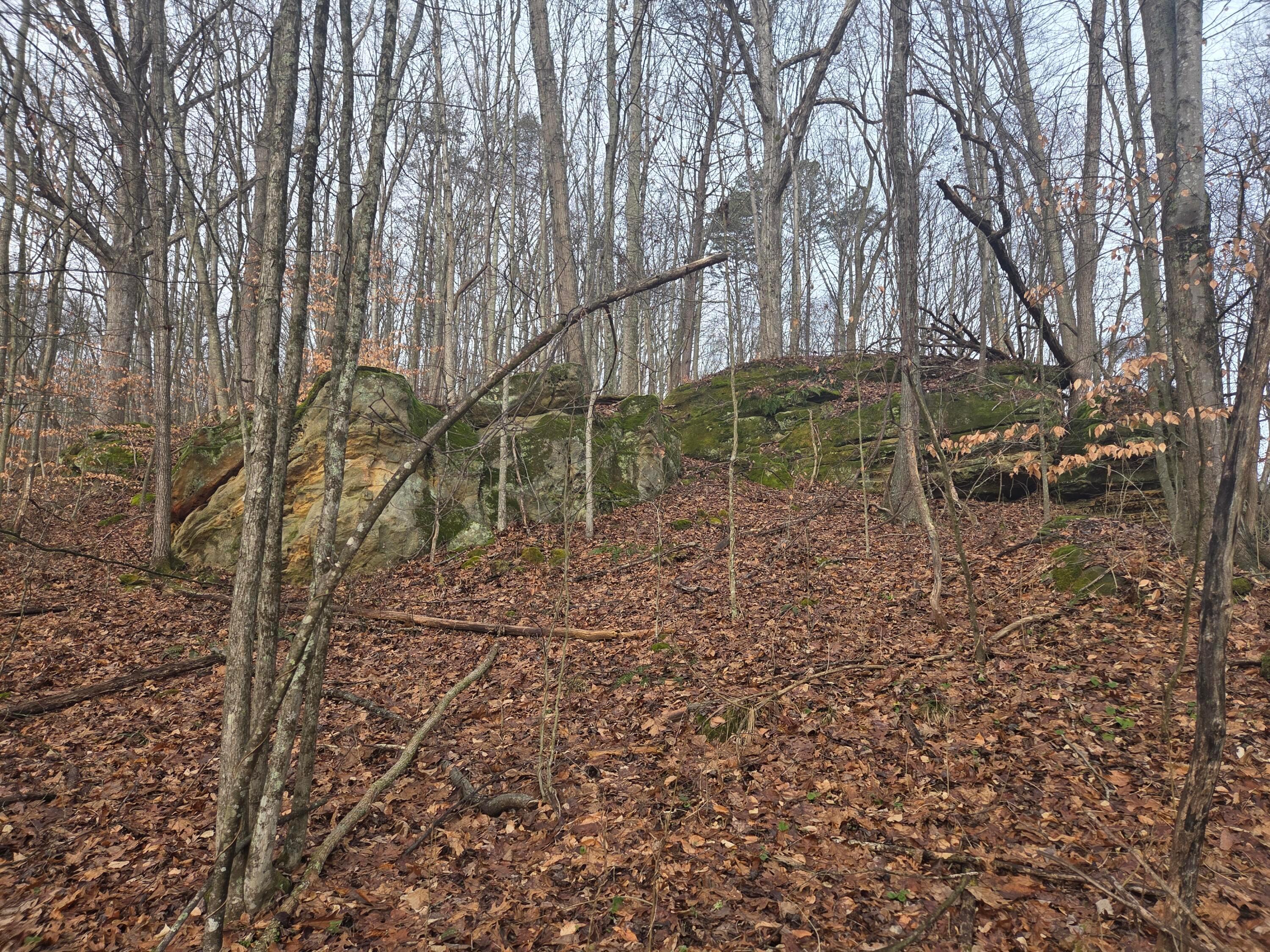 12001 W Buck Run Property Photo 2