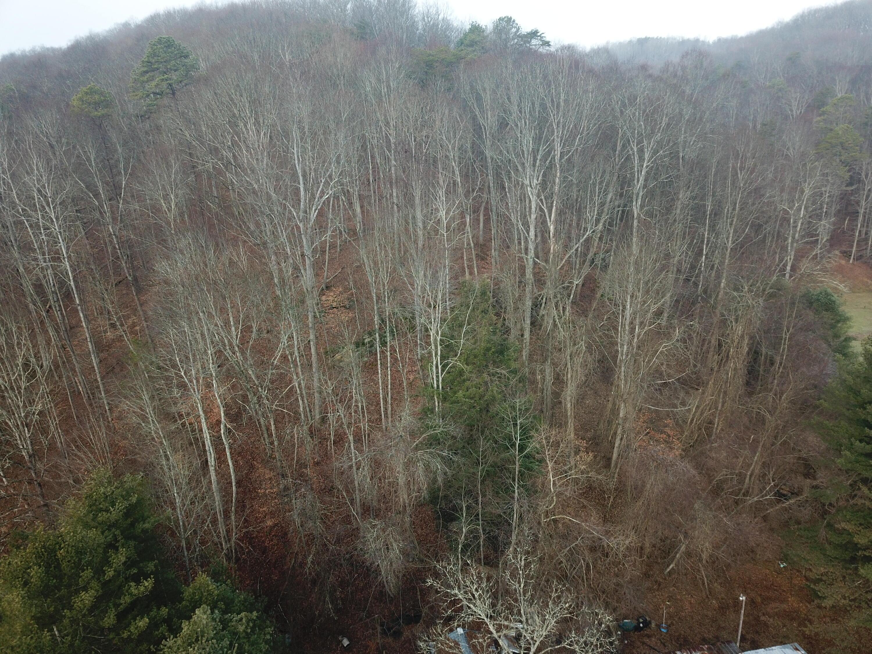 12001 W Buck Run Property Photo 3
