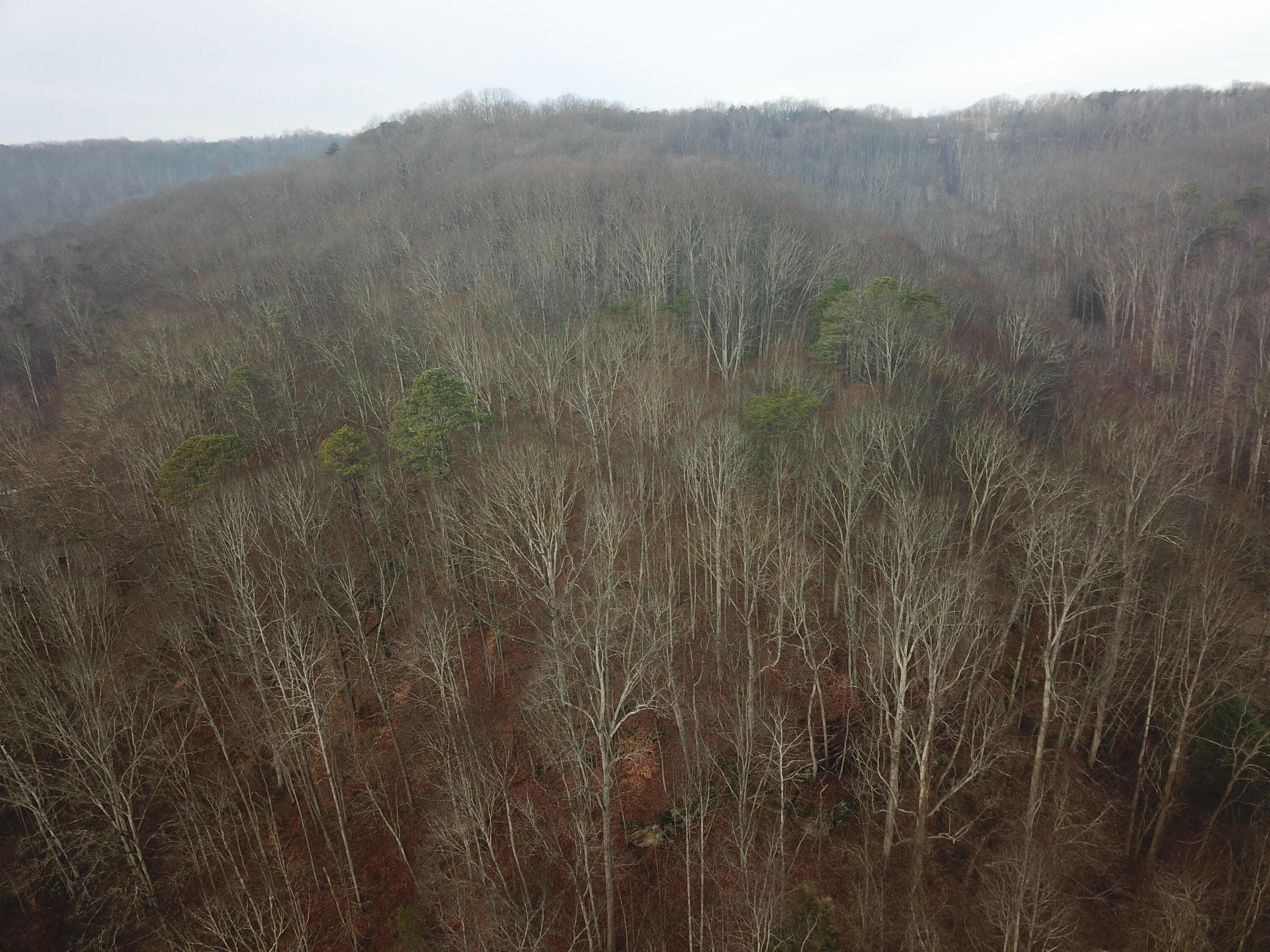 12001 W Buck Run Property Photo 4