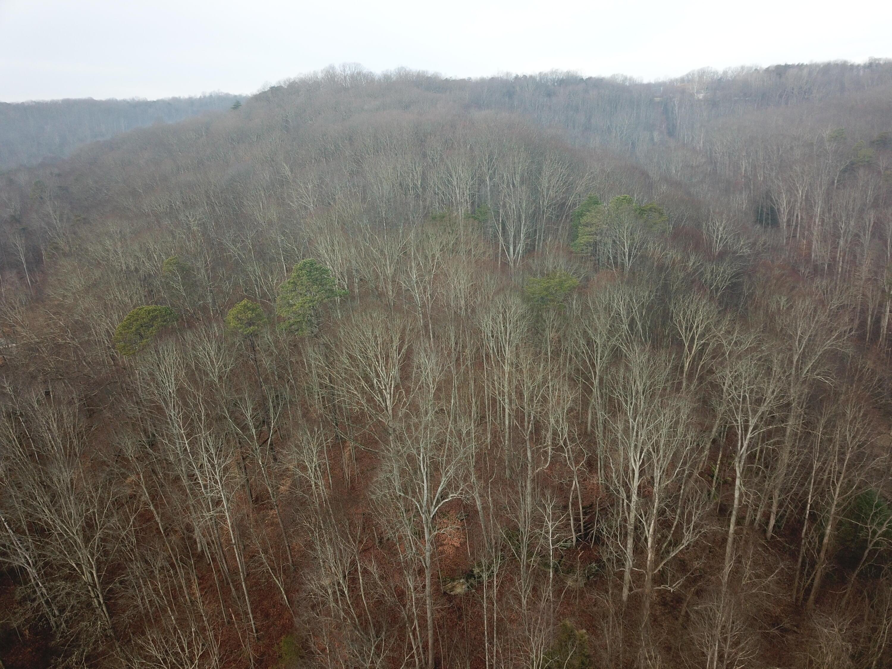 12001 W Buck Run Property Photo 5
