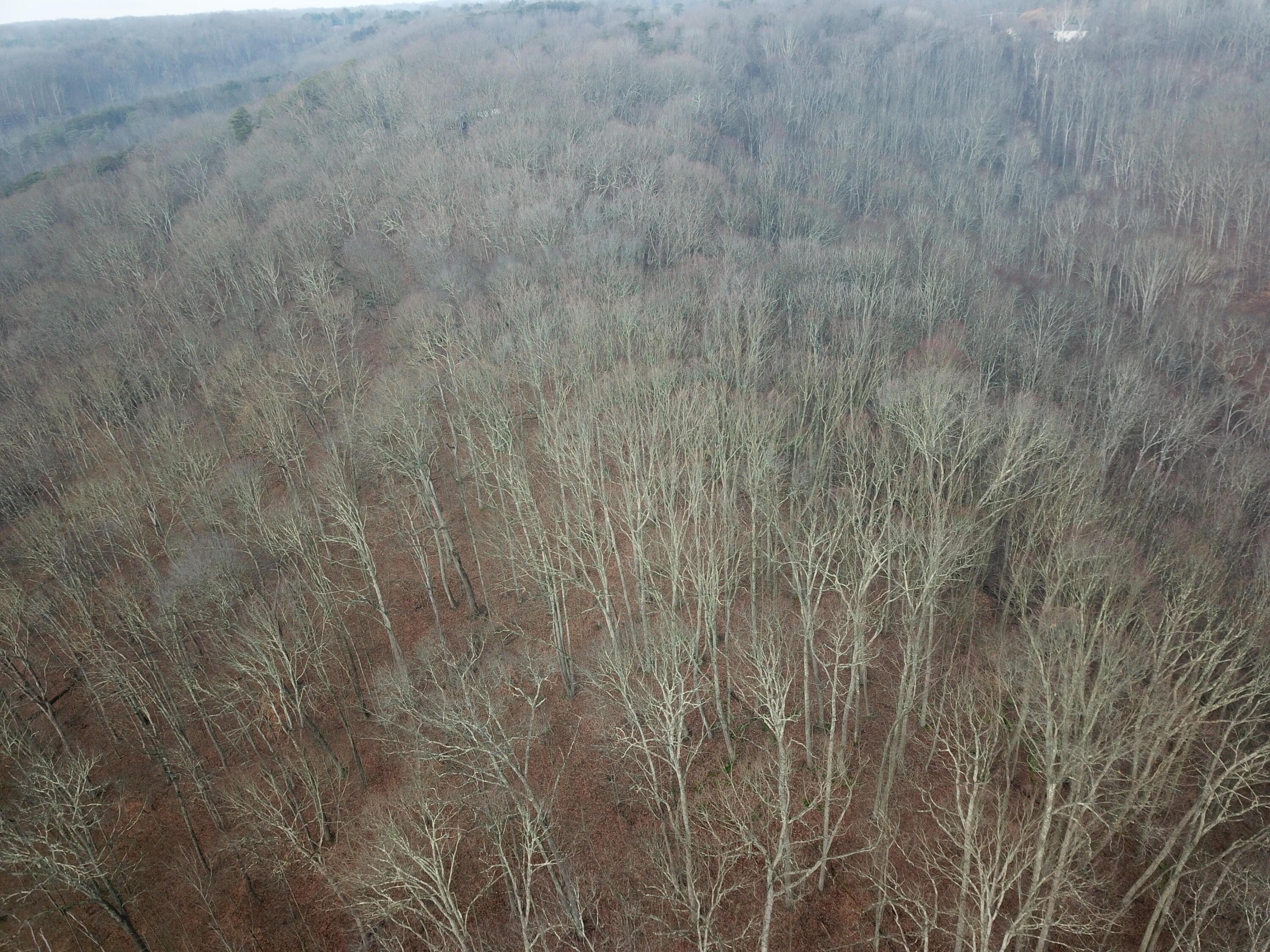 12001 W Buck Run Property Photo 6