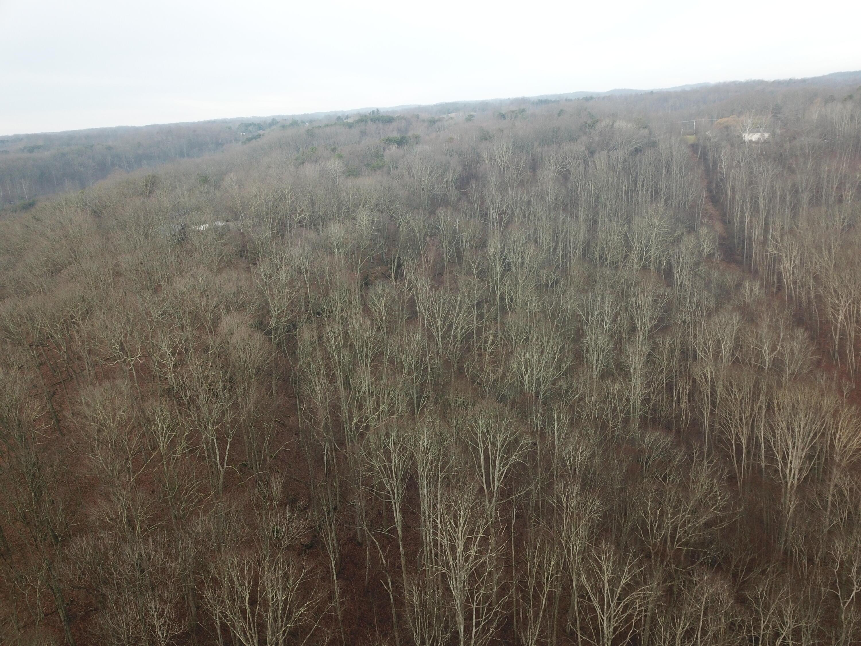 12001 W Buck Run Property Photo 7
