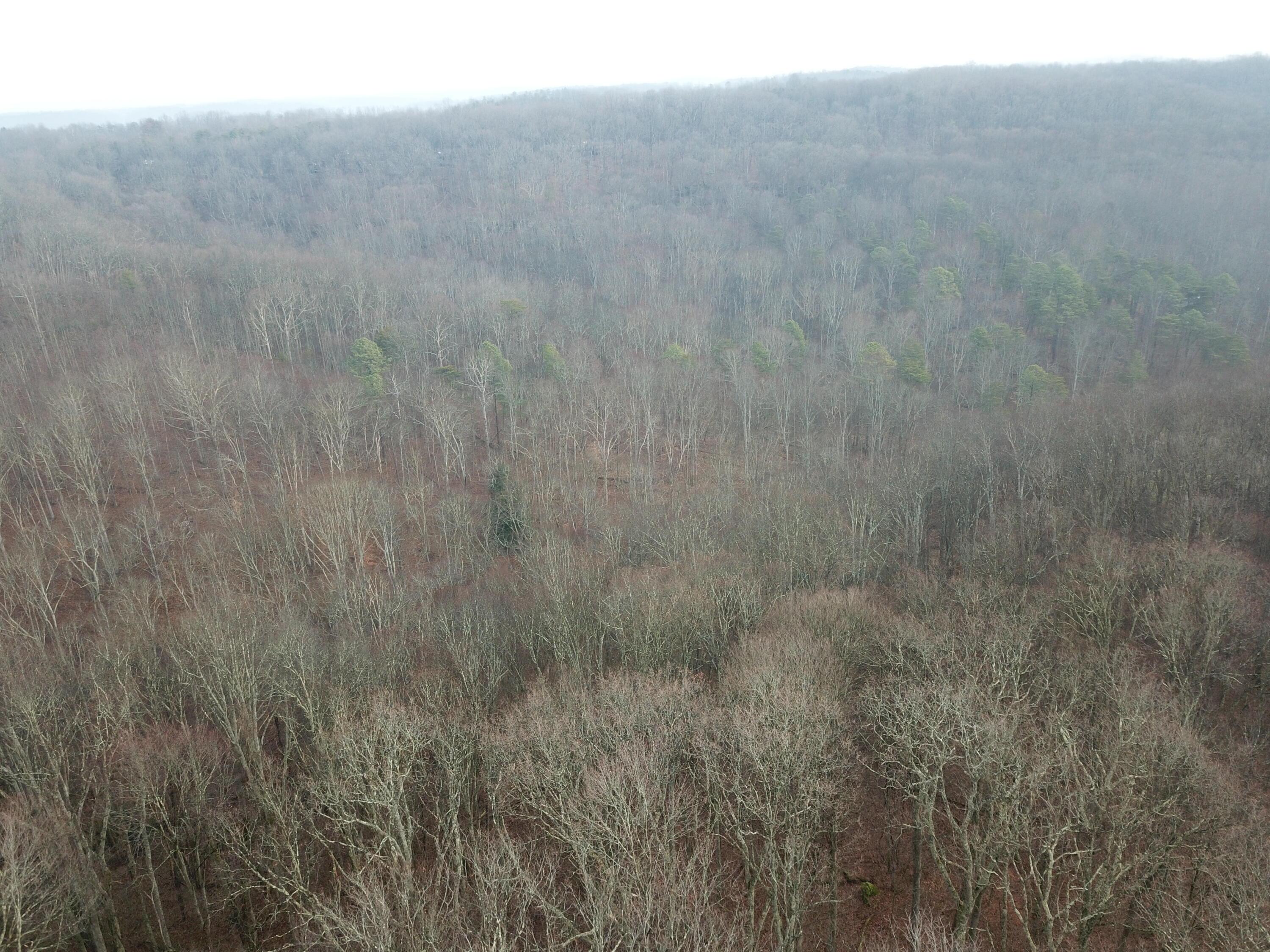 12001 W Buck Run Property Photo 8