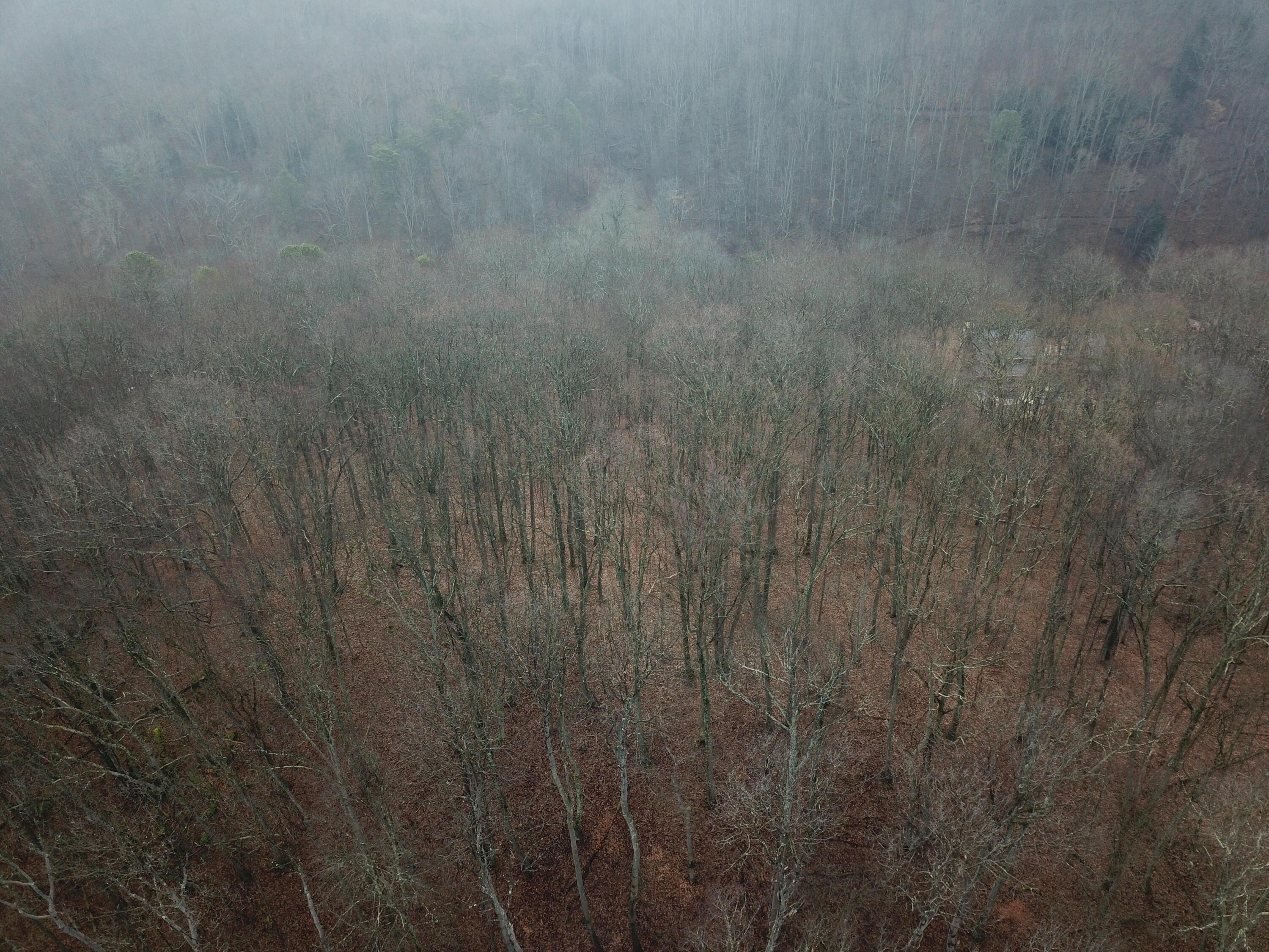 12001 W Buck Run Property Photo 9