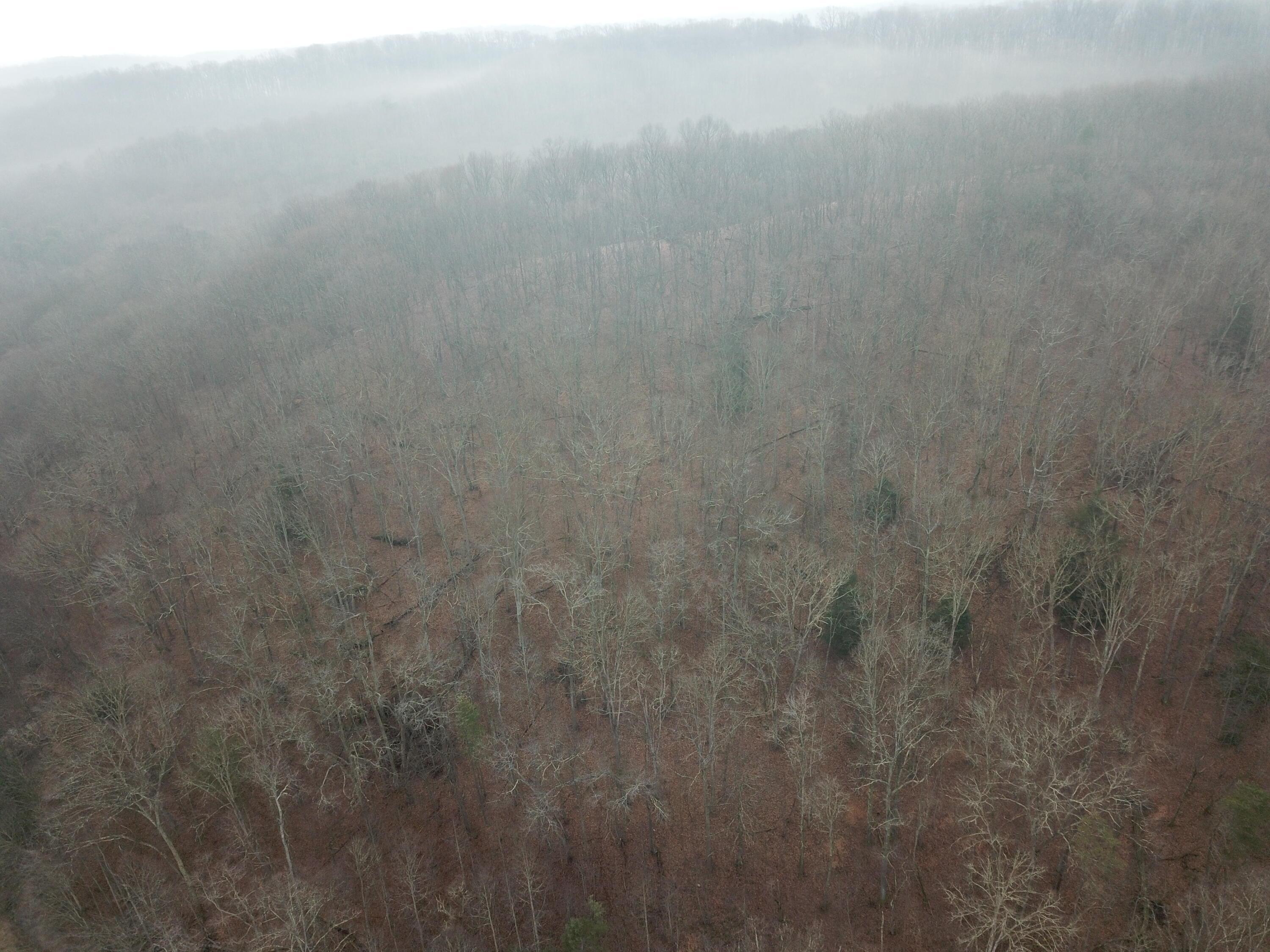 12001 W Buck Run Property Photo 10