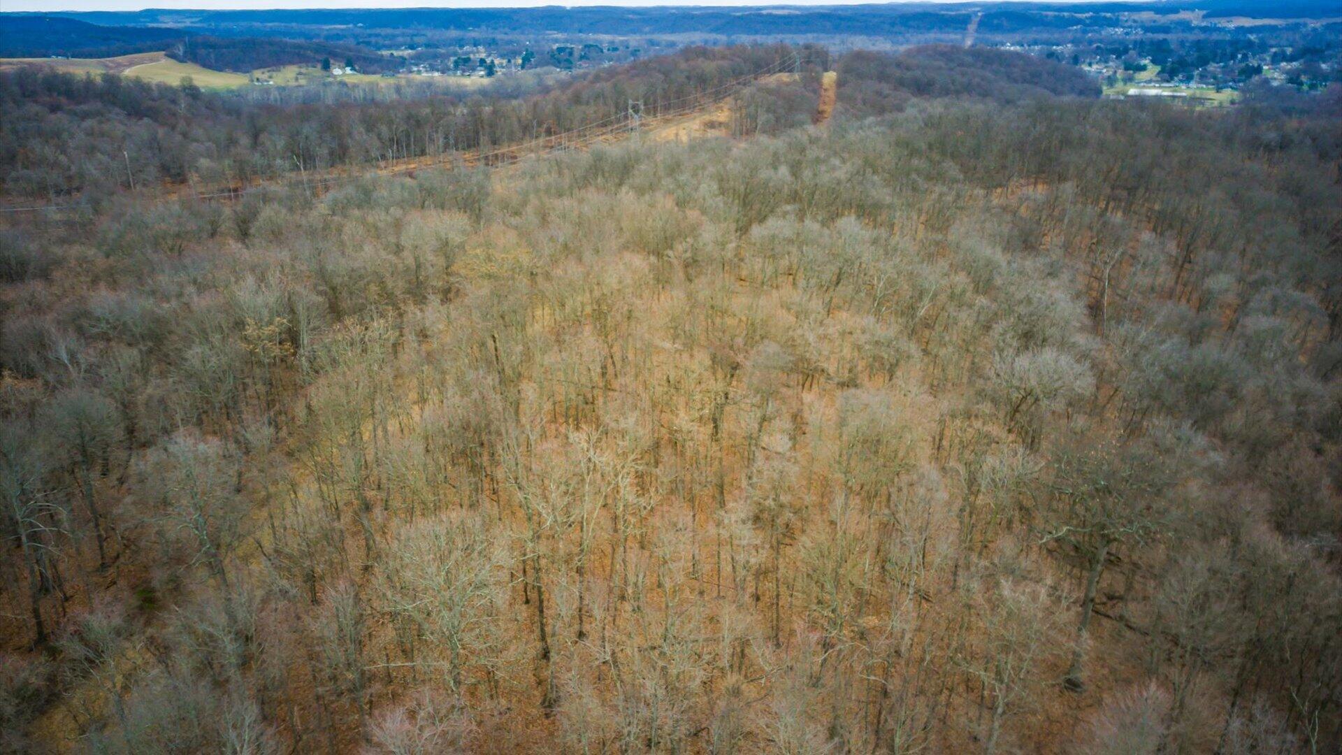 0 Burch Drive Ne Property Photo 6