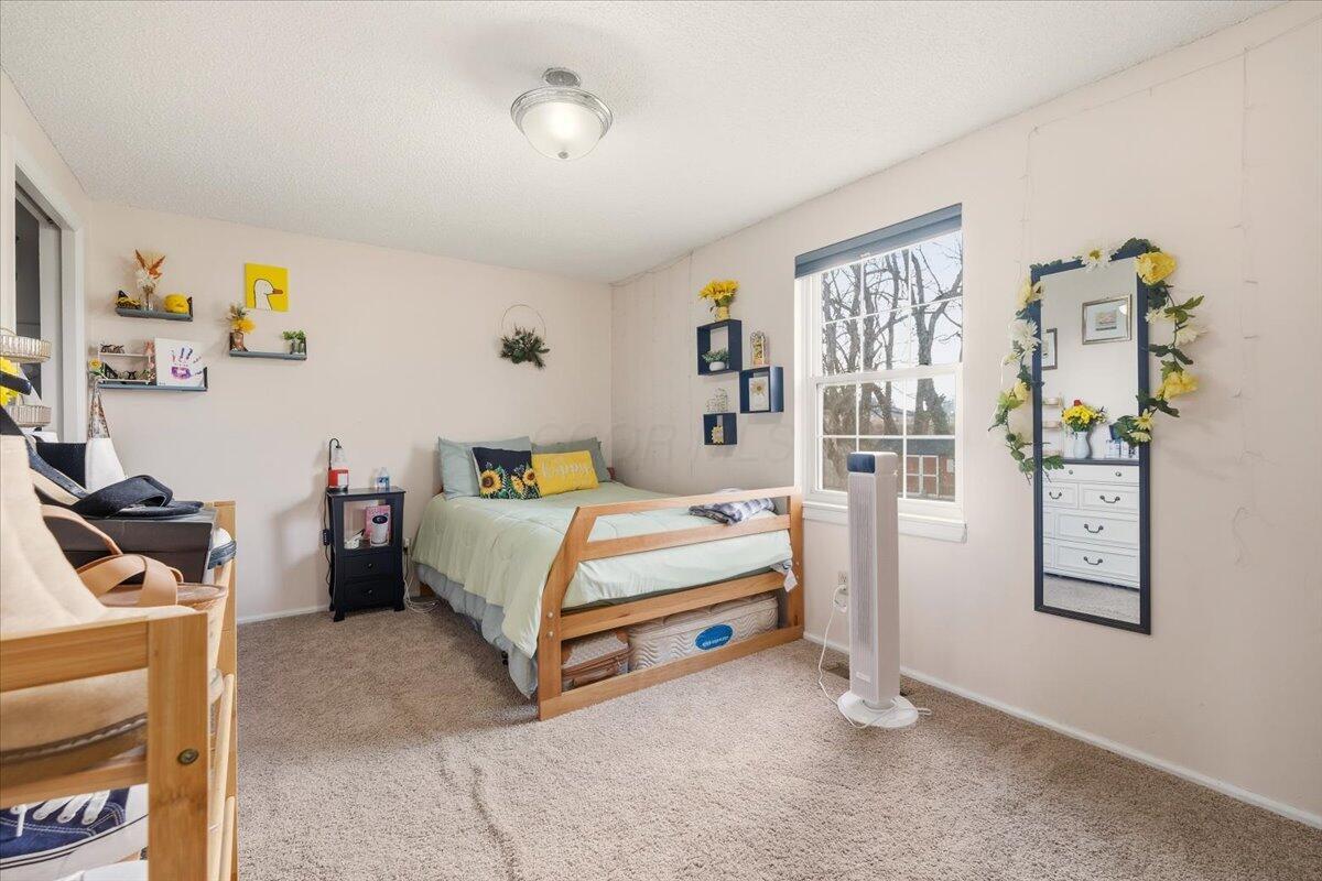 2 Winney Drive Property Photo 24