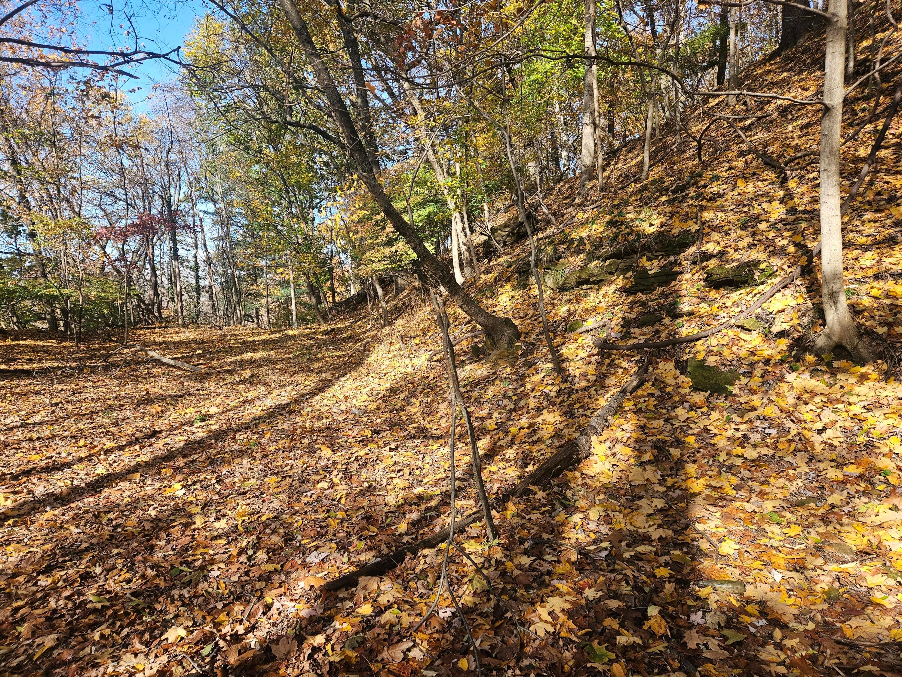 0 Hillside Avenue Property Photo 3