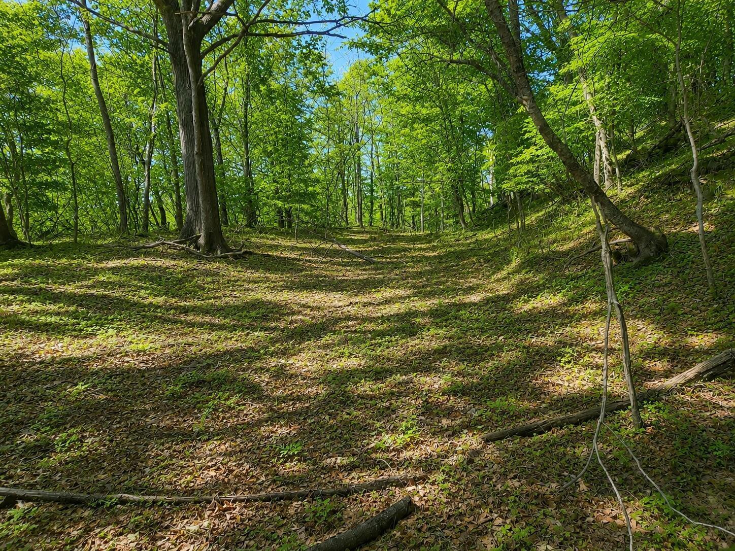 0 Hillside Avenue Property Photo 4