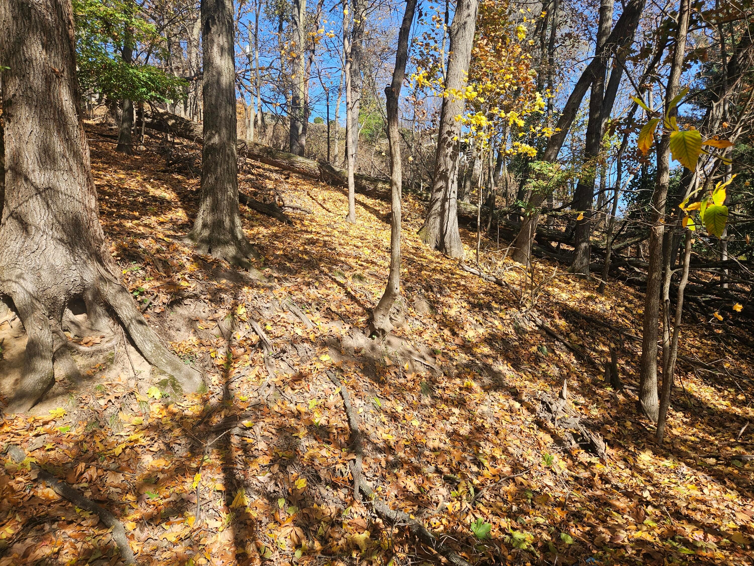 0 Hillside Avenue Property Photo 6