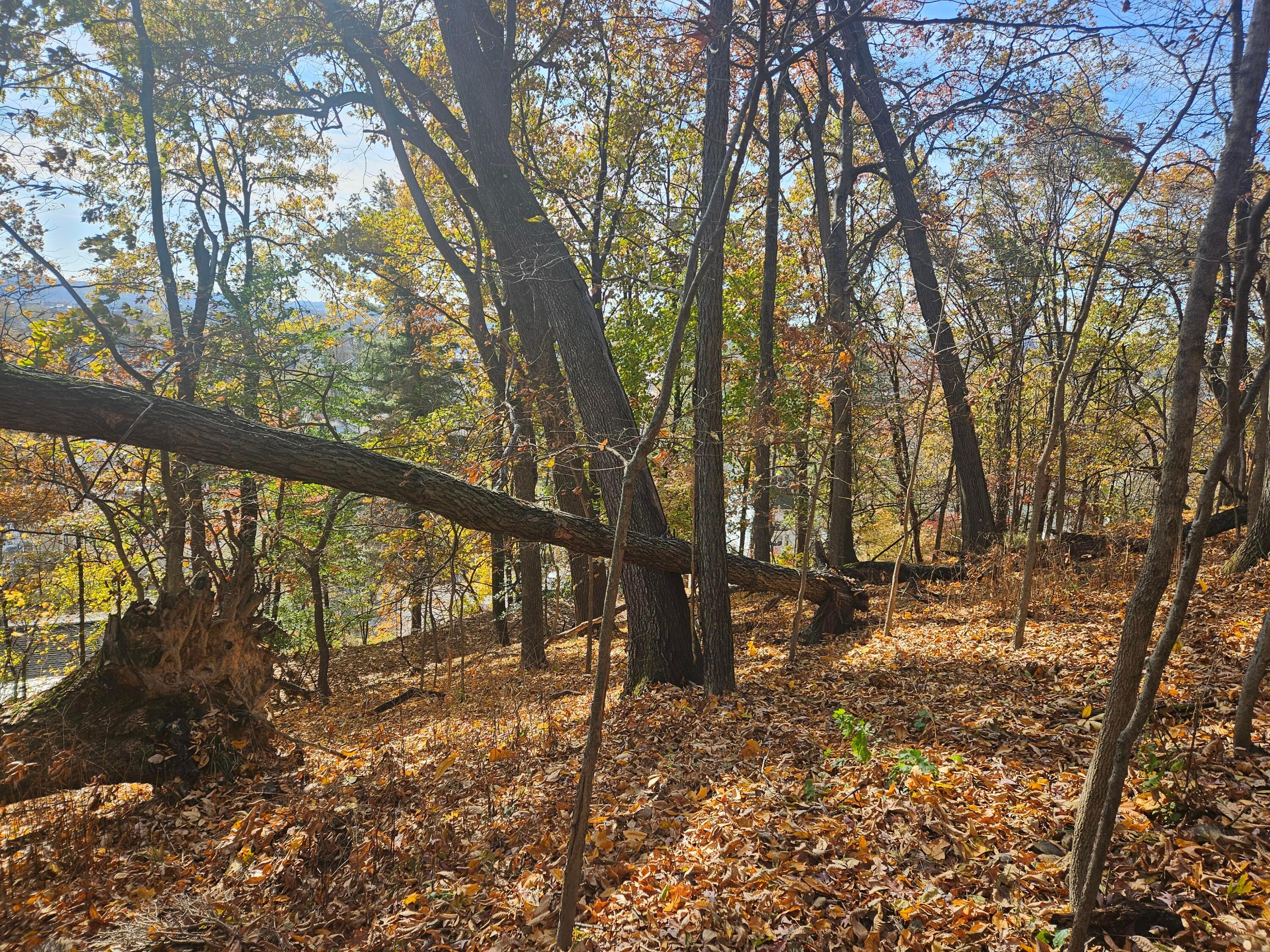 0 Hillside Avenue Property Photo 9
