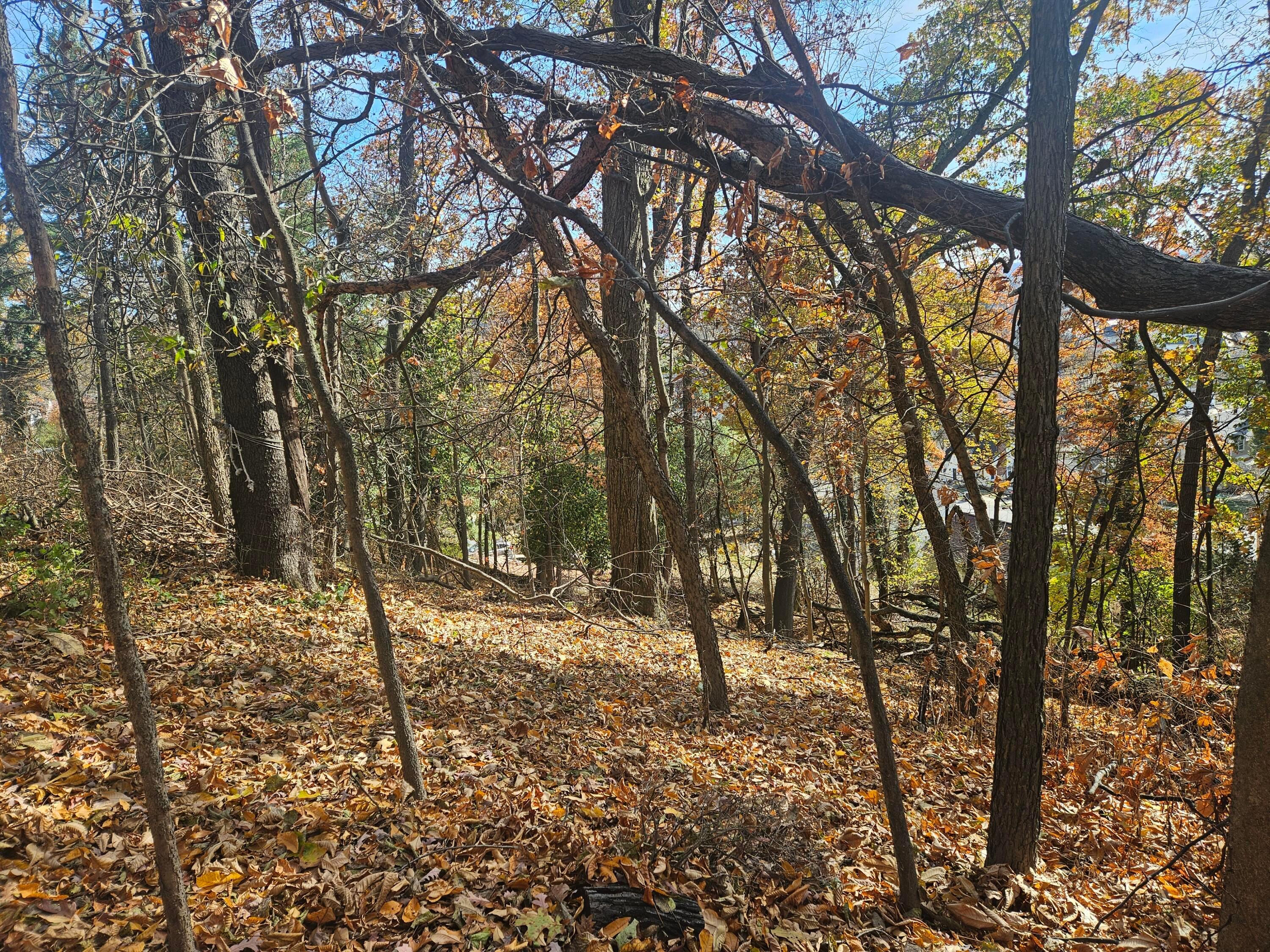 0 Hillside Avenue Property Photo 10