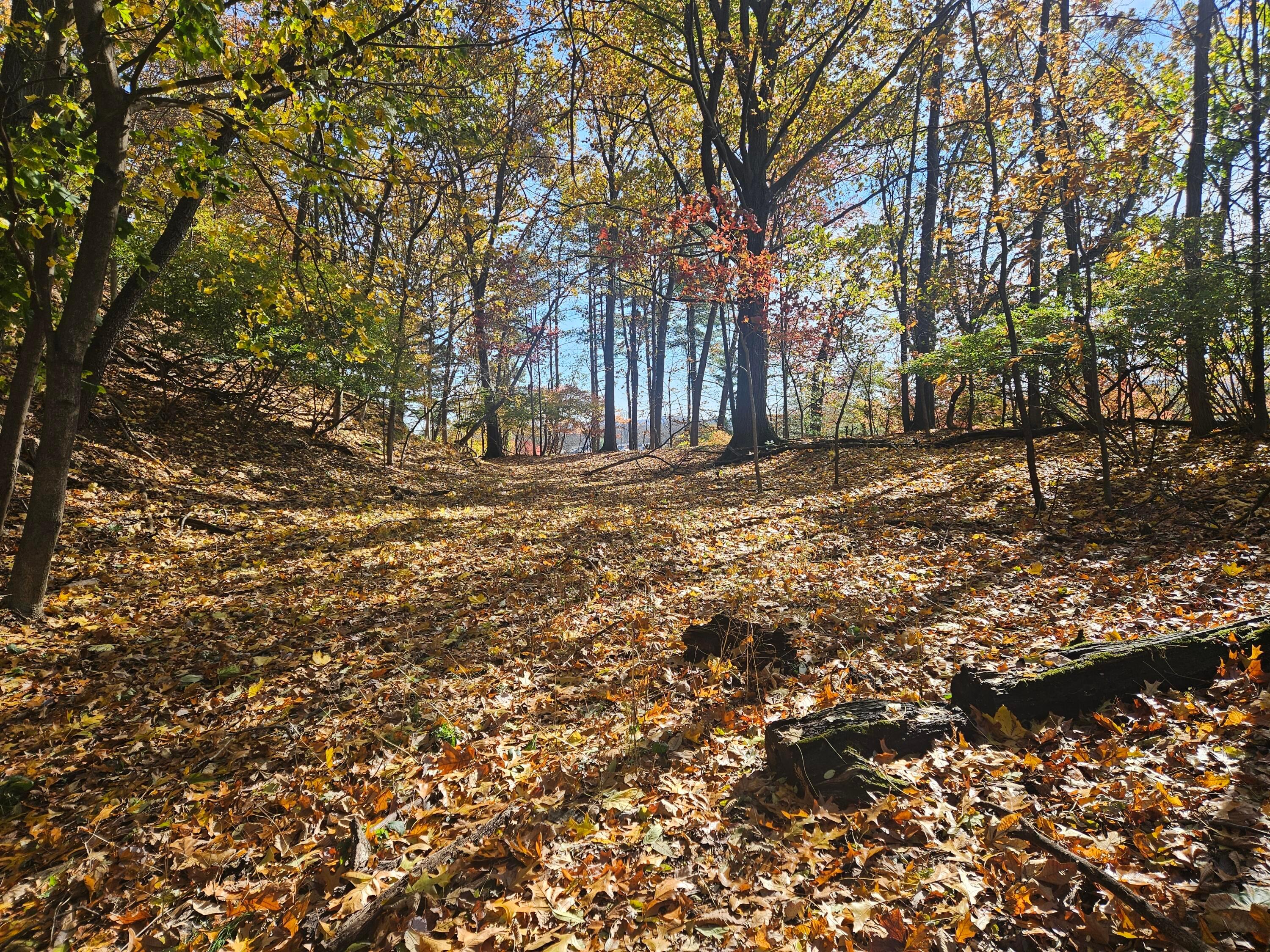 0 Hillside Avenue Property Photo 12