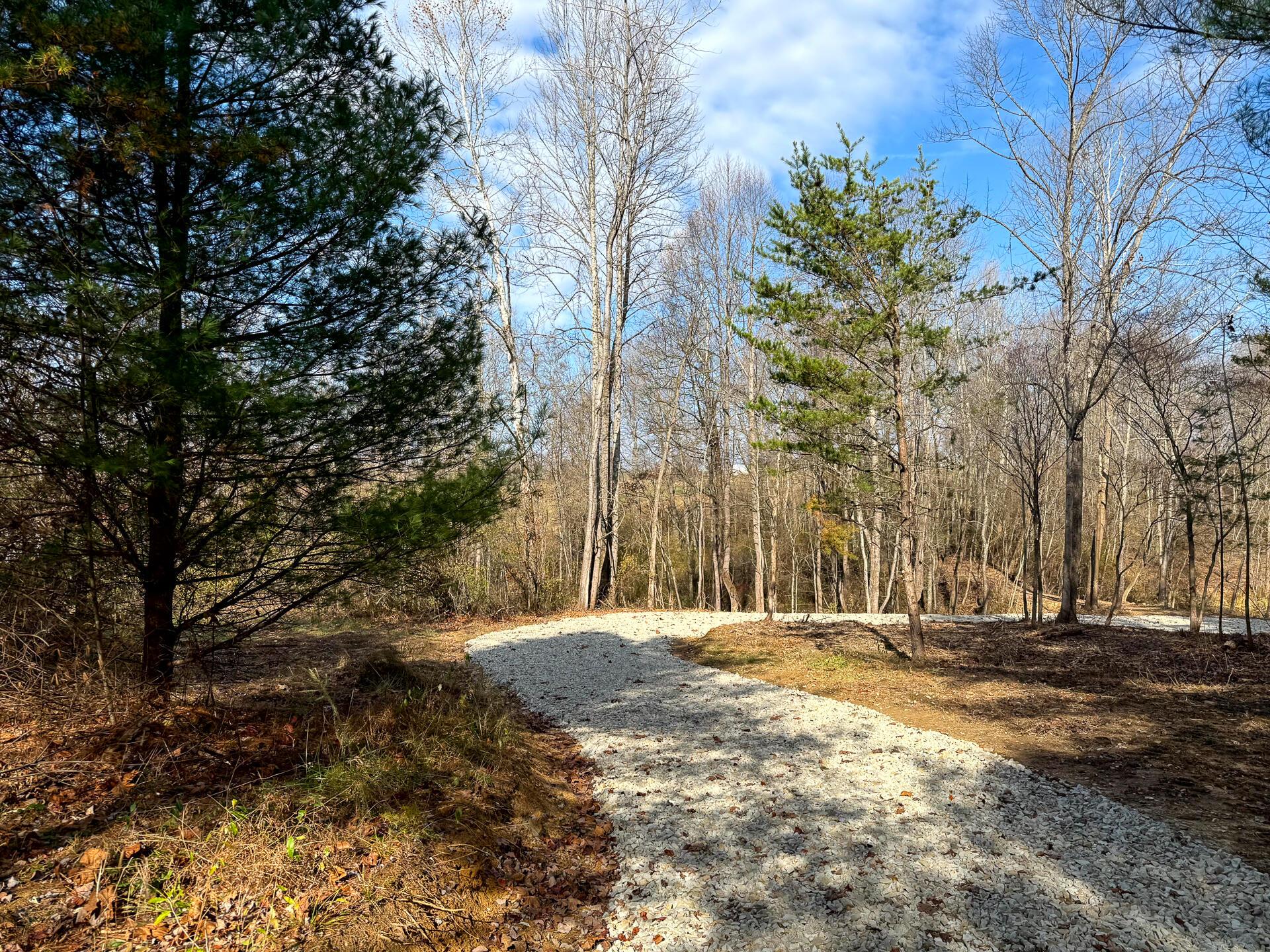 0 Dutch Ridge Road, (woods Turkey Run Tract 2) Property Photo 21