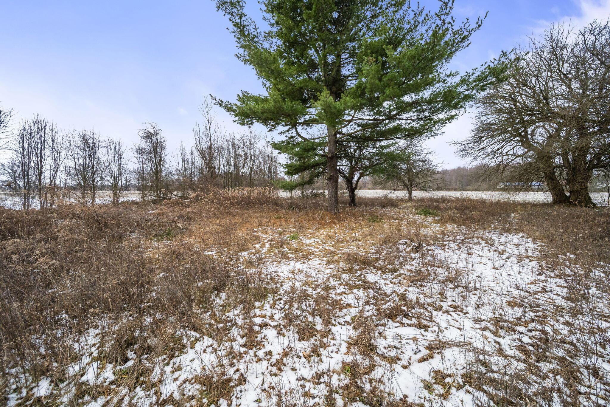 3363 S State Route 605 Property Photo 17