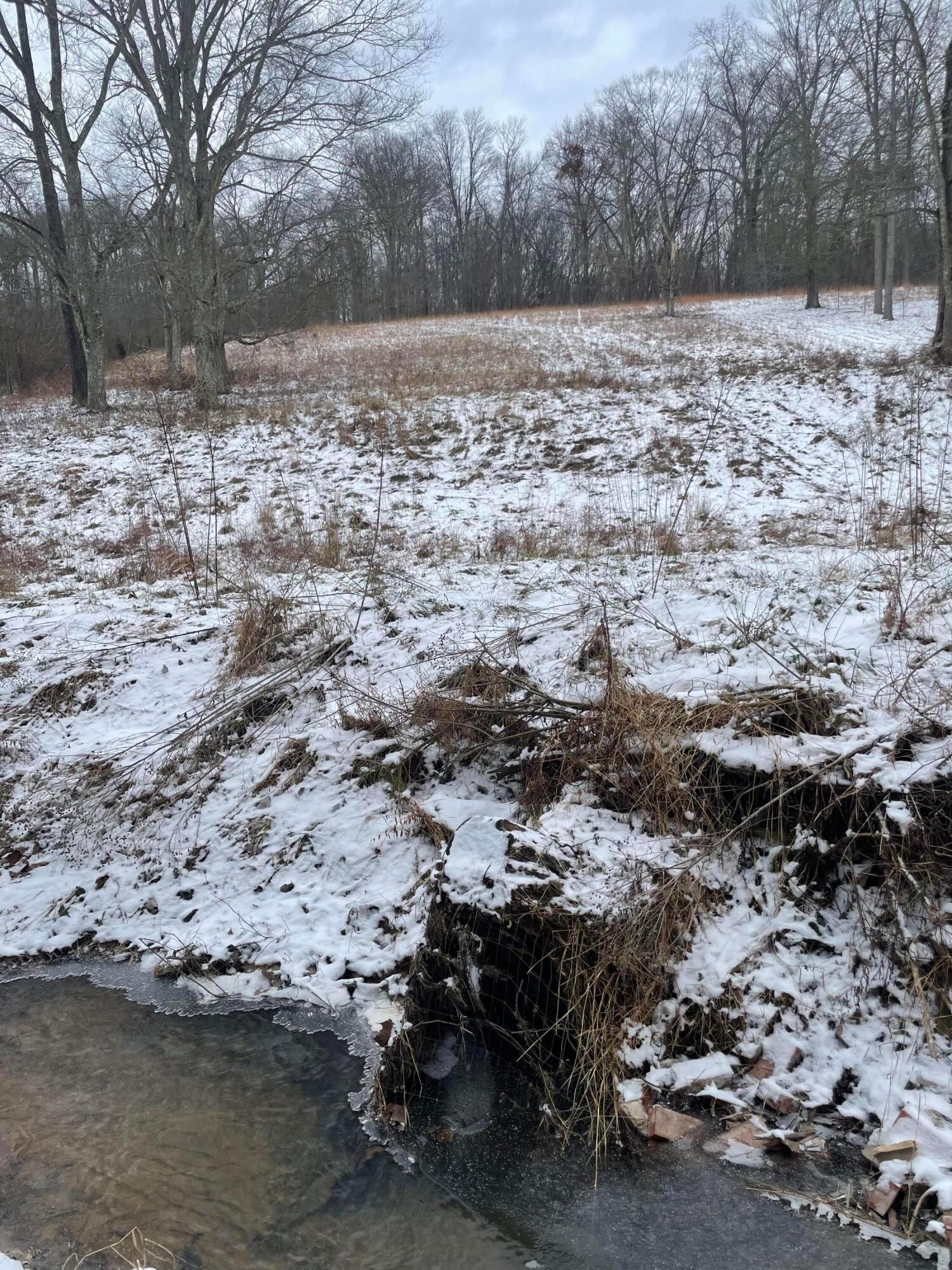 15860 Stump Run Property Photo 1