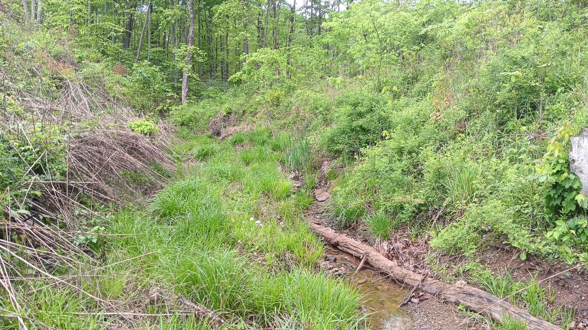 0 Hampton Hollow Road, (7 Acre Tract) Property Photo 3