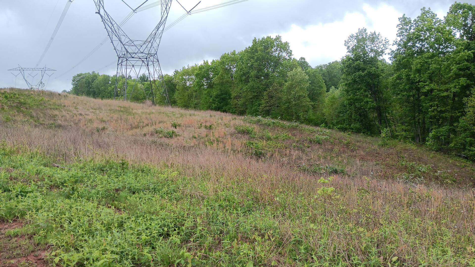 0 Hampton Hollow Road, (7 Acre Tract) Property Photo 6
