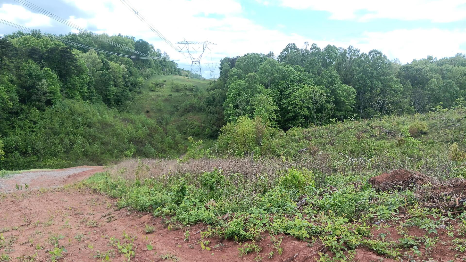 0 Hampton Hollow Road, (7 Acre Tract) Property Photo 7