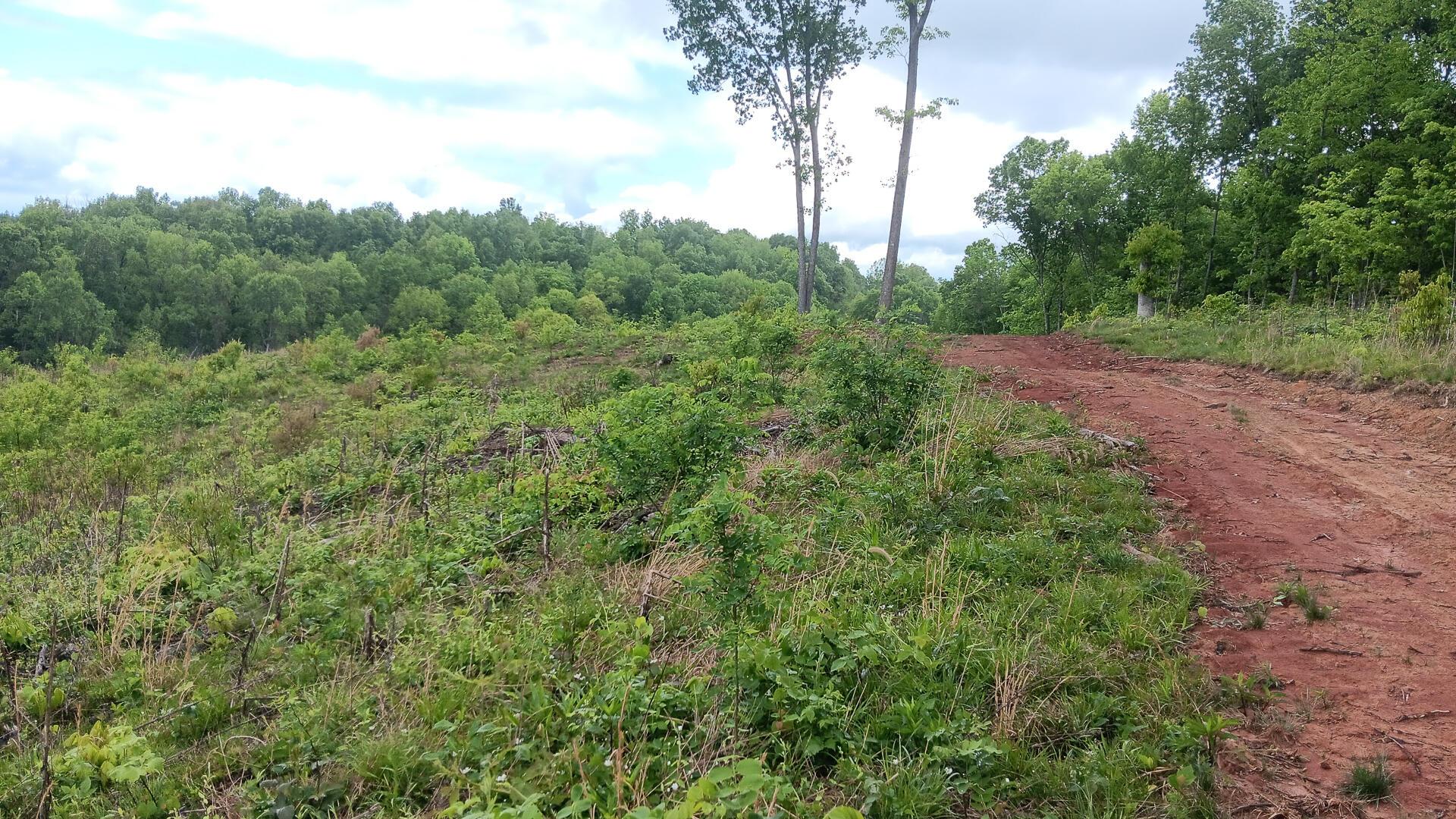 0 Hampton Hollow Road, (7 Acre Tract) Property Photo 10