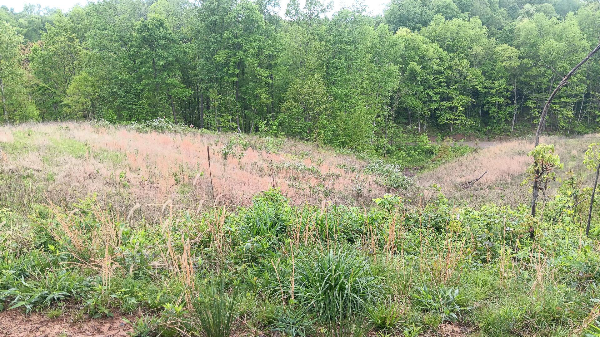0 Hampton Hollow Road, (7 Acre Tract) Property Photo 15