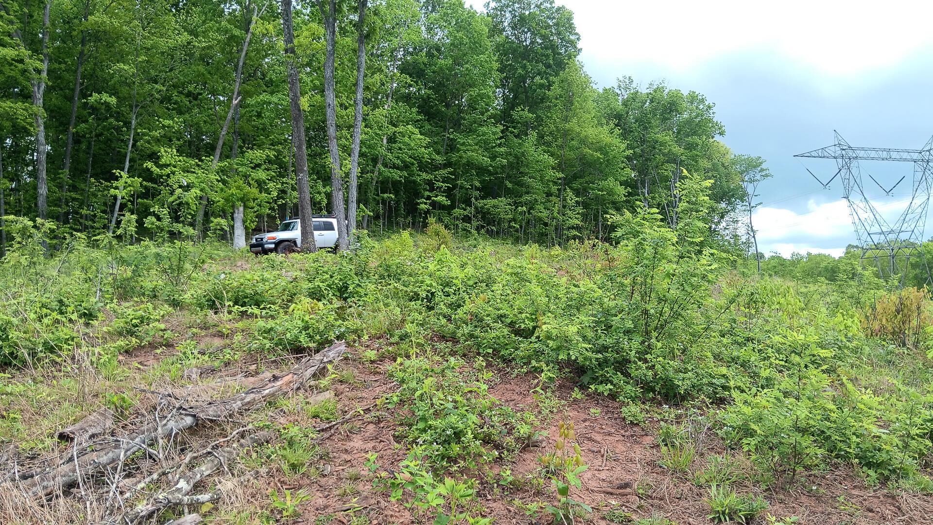 0 Hampton Hollow Road, (7 Acre Tract) Property Photo 19