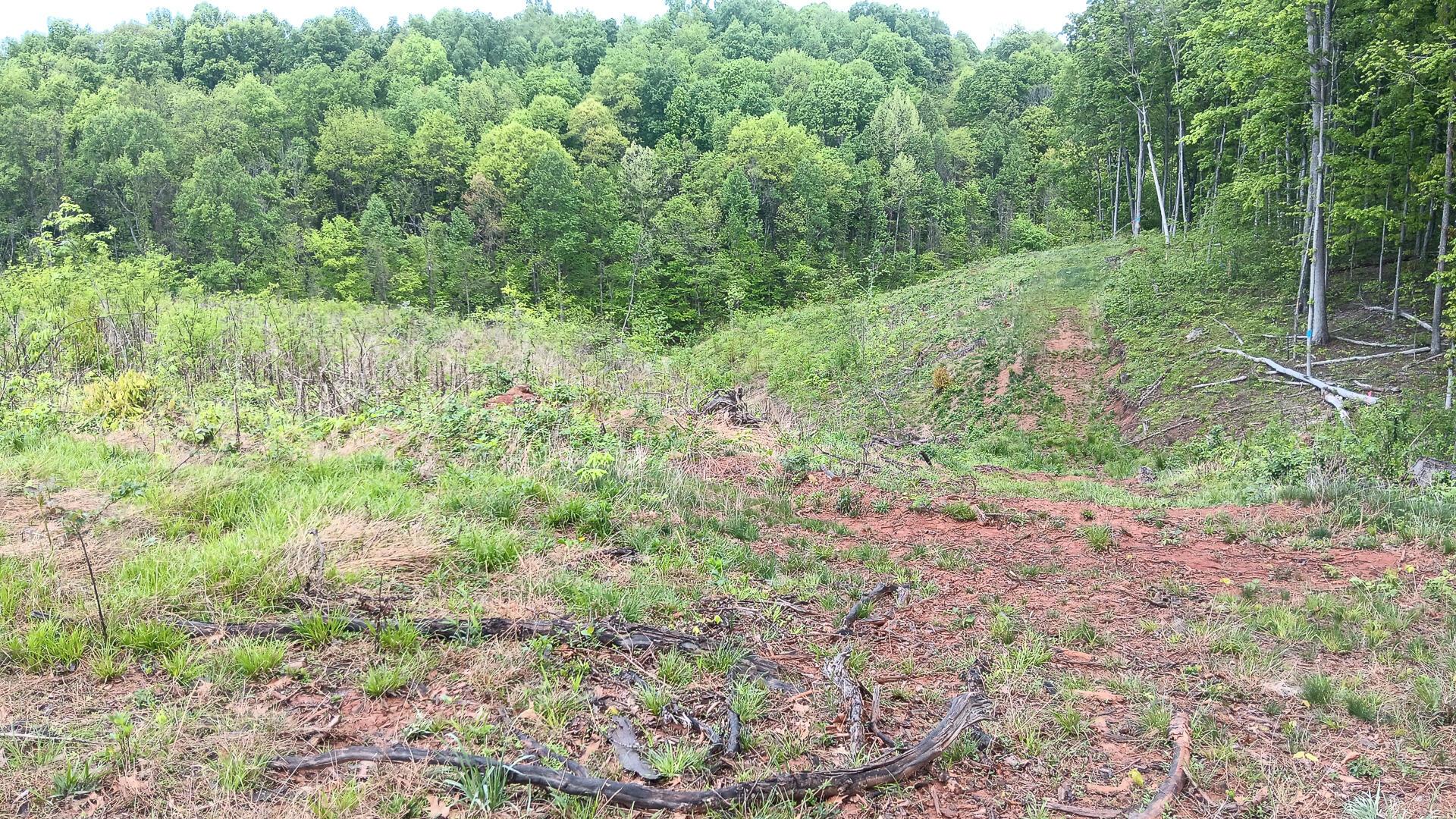 0 Hampton Hollow Road, (7 Acre Tract) Property Photo 25