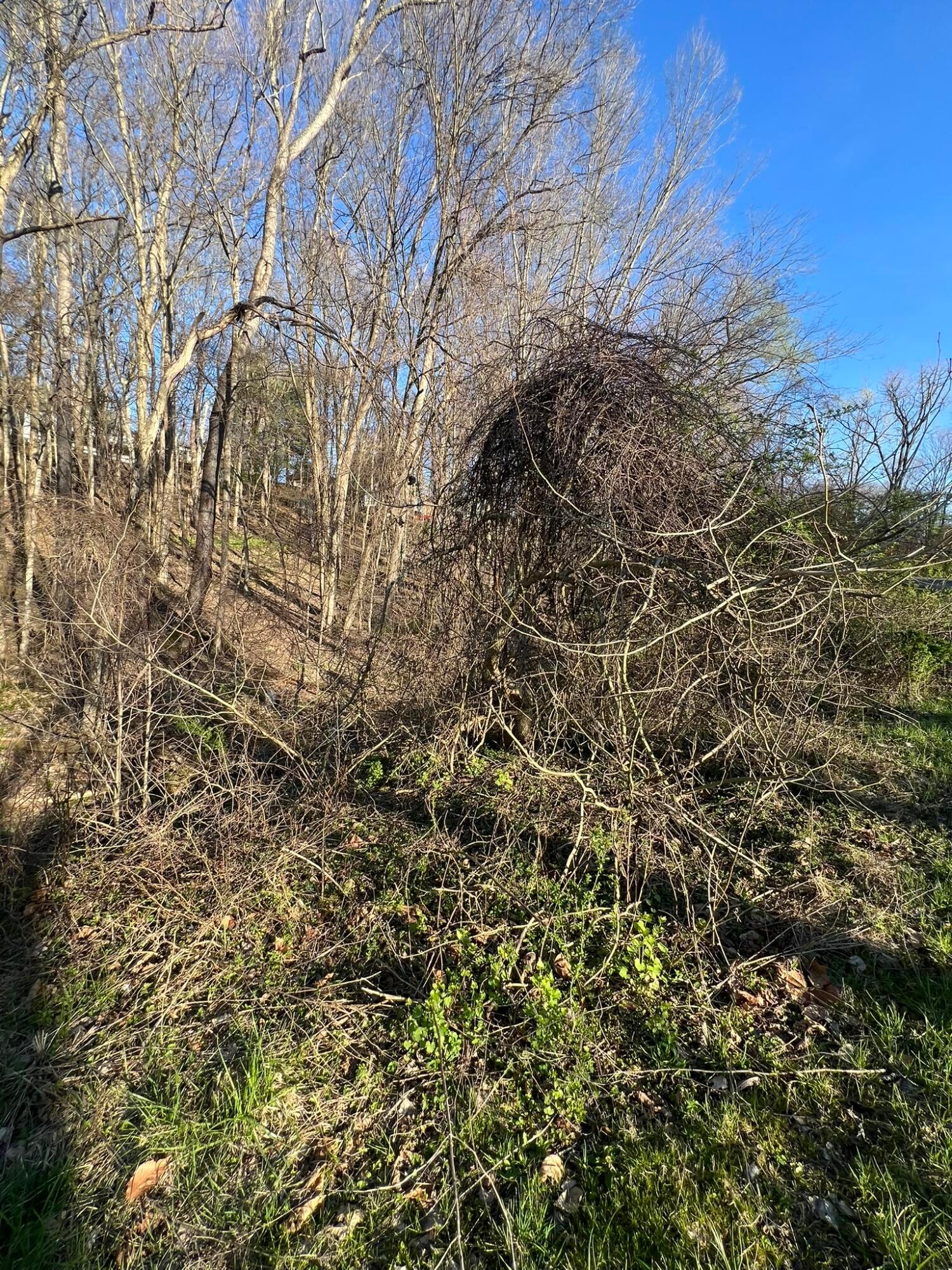 940 Mcintosh Drive Property Photo 1