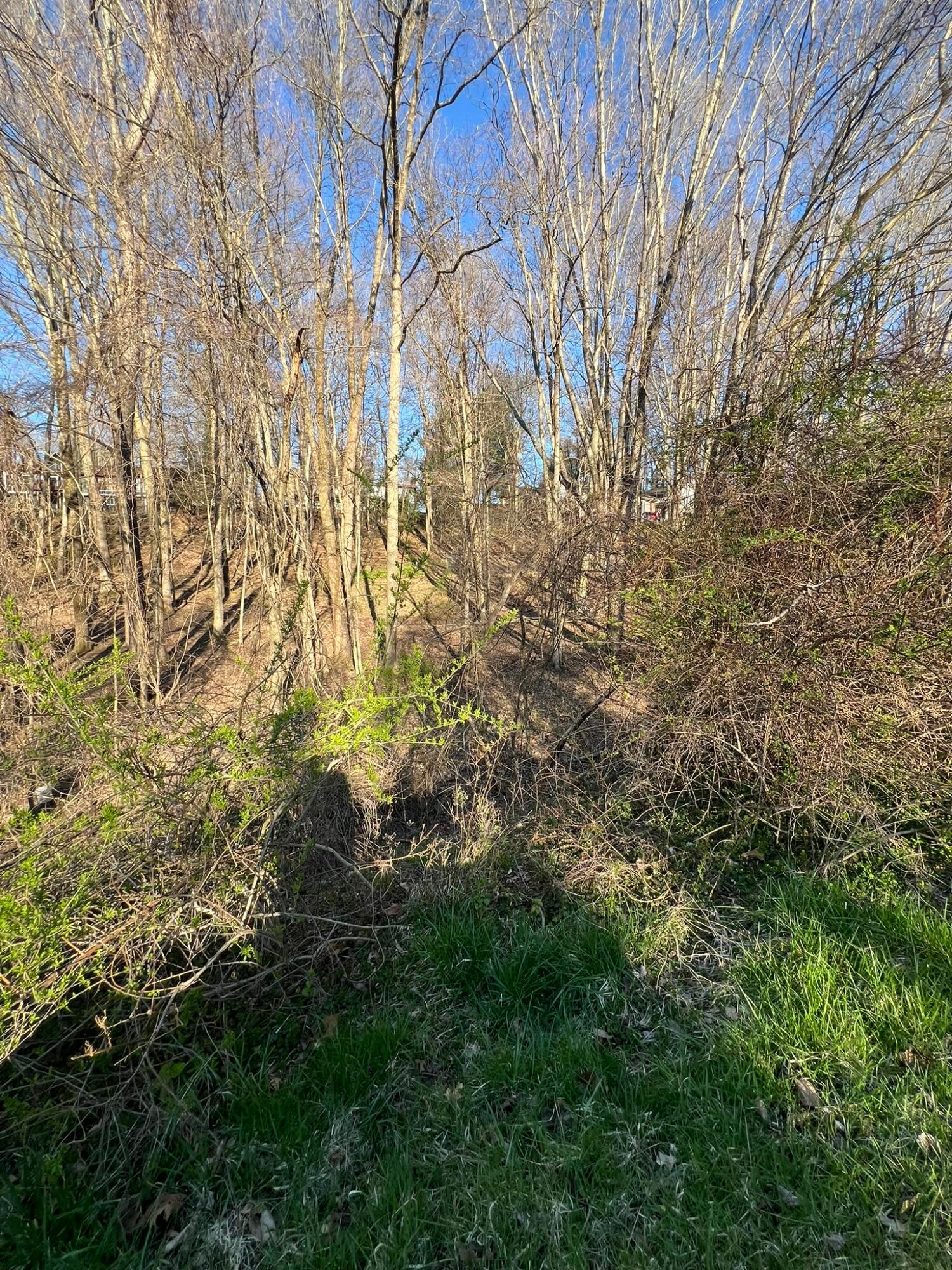 940 Mcintosh Drive Property Photo 3
