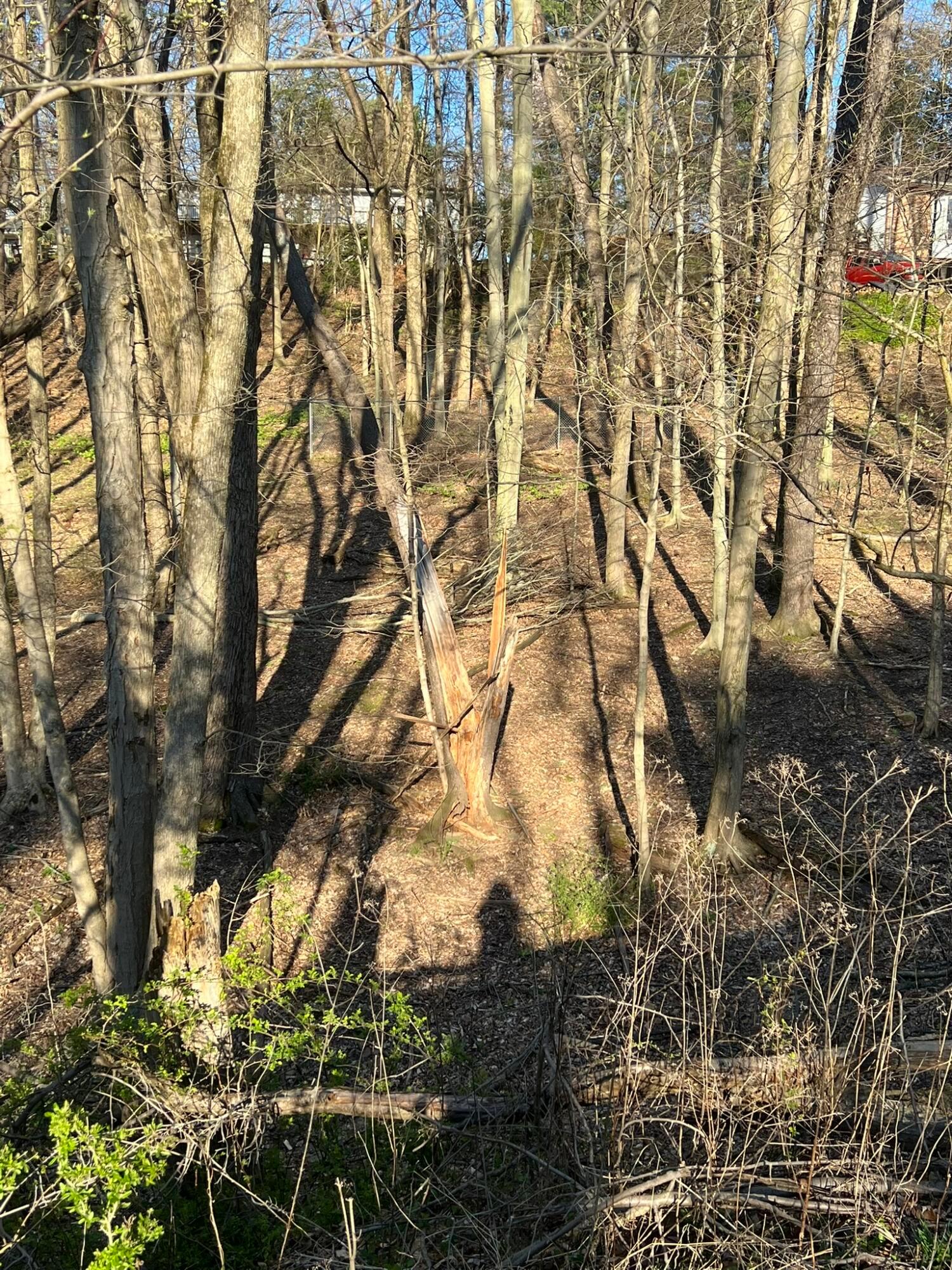 940 Mcintosh Drive Property Photo 5
