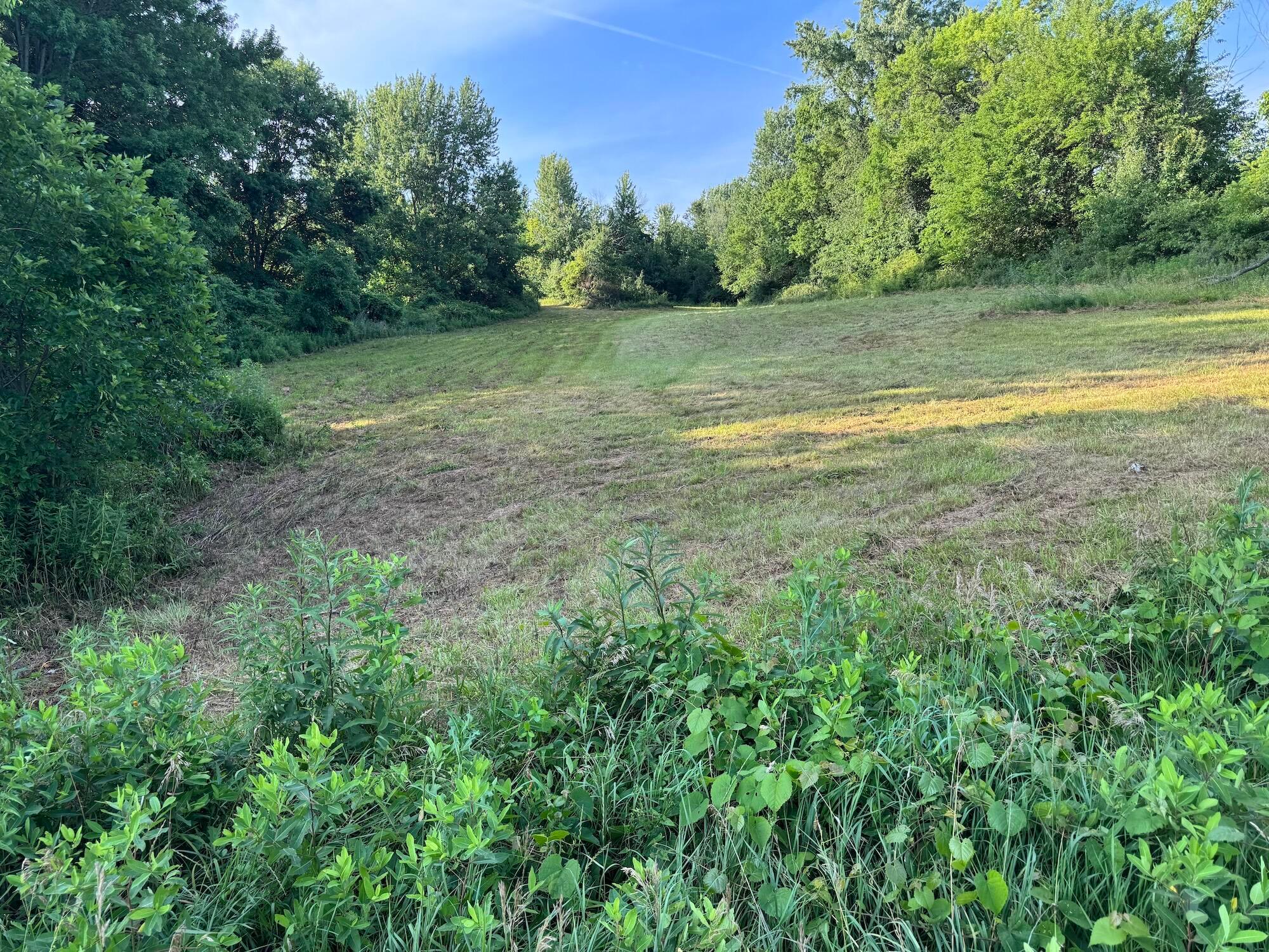 0 Columbus Road Property Photo 3