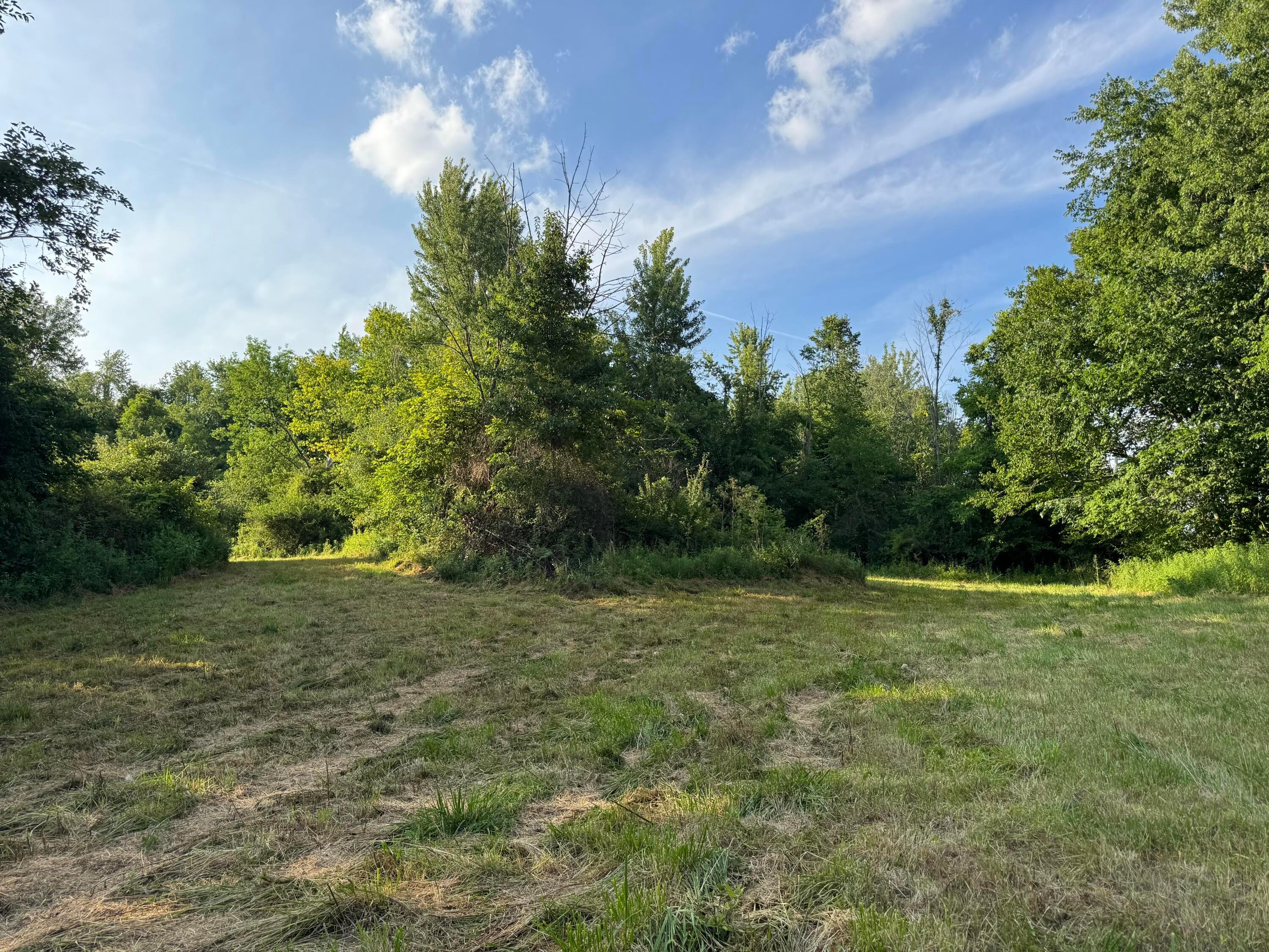 0 Columbus Road Property Photo 4