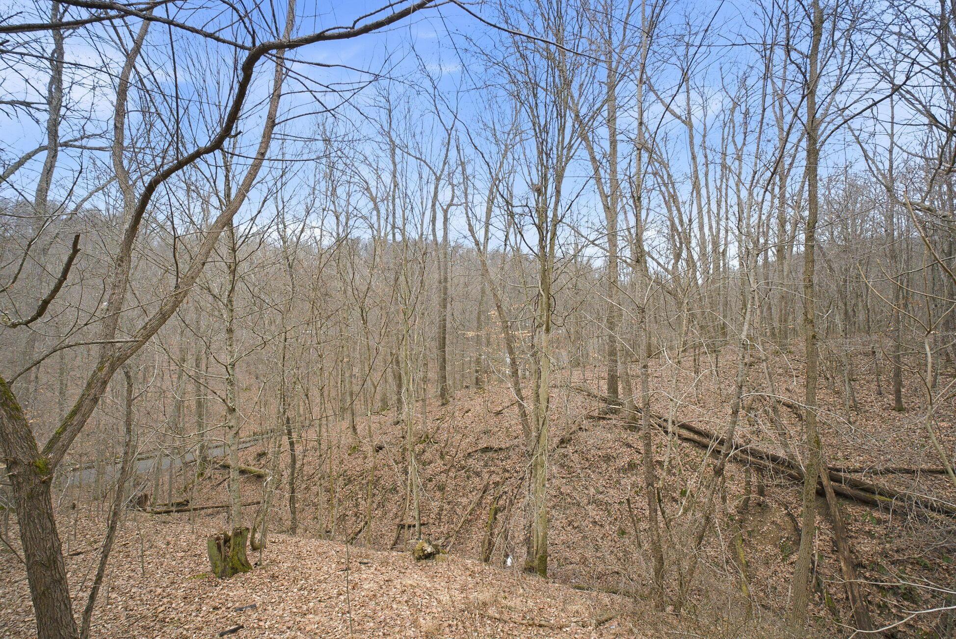 28930 Big Pine Road Property Photo 75
