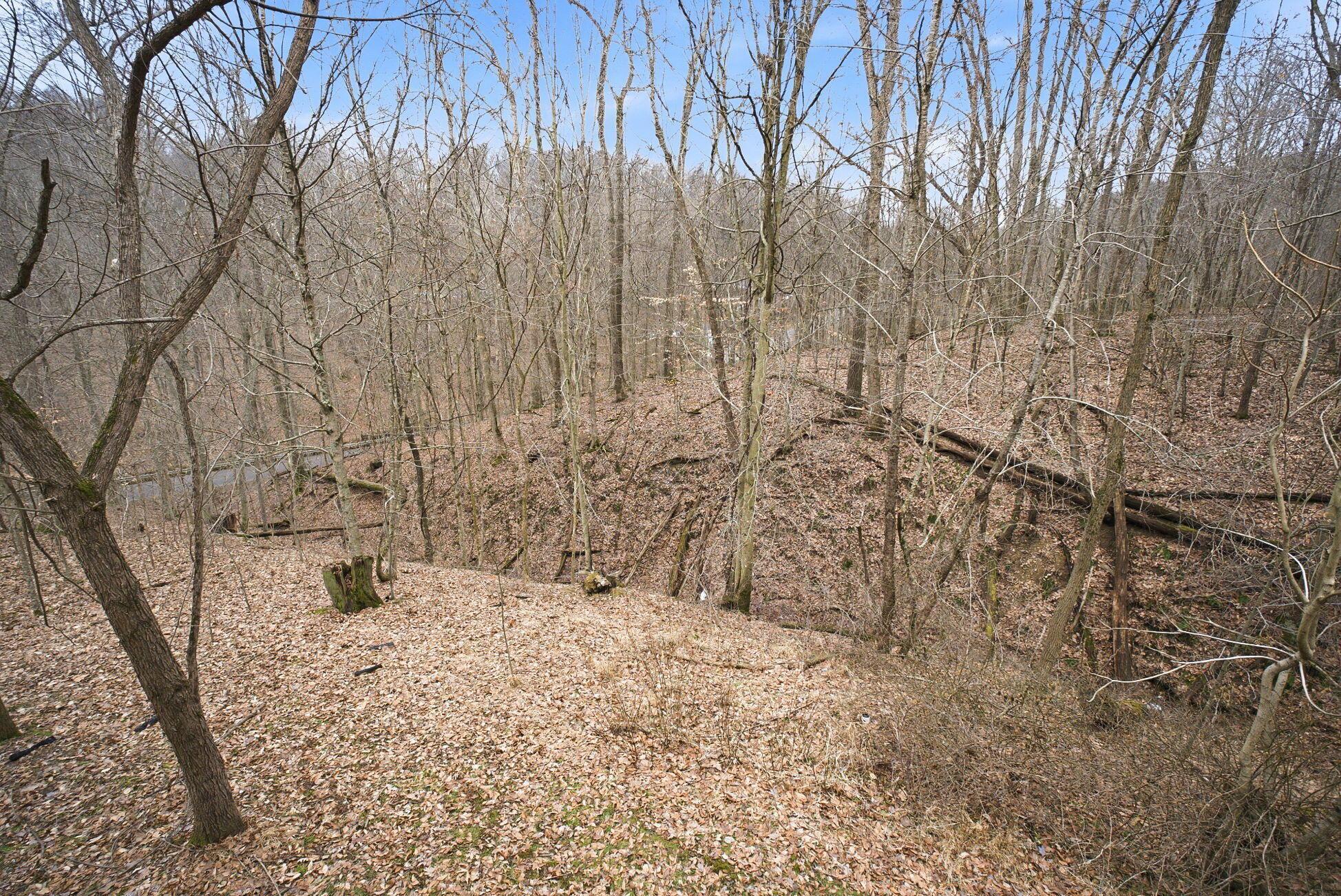 28930 Big Pine Road Property Photo 76