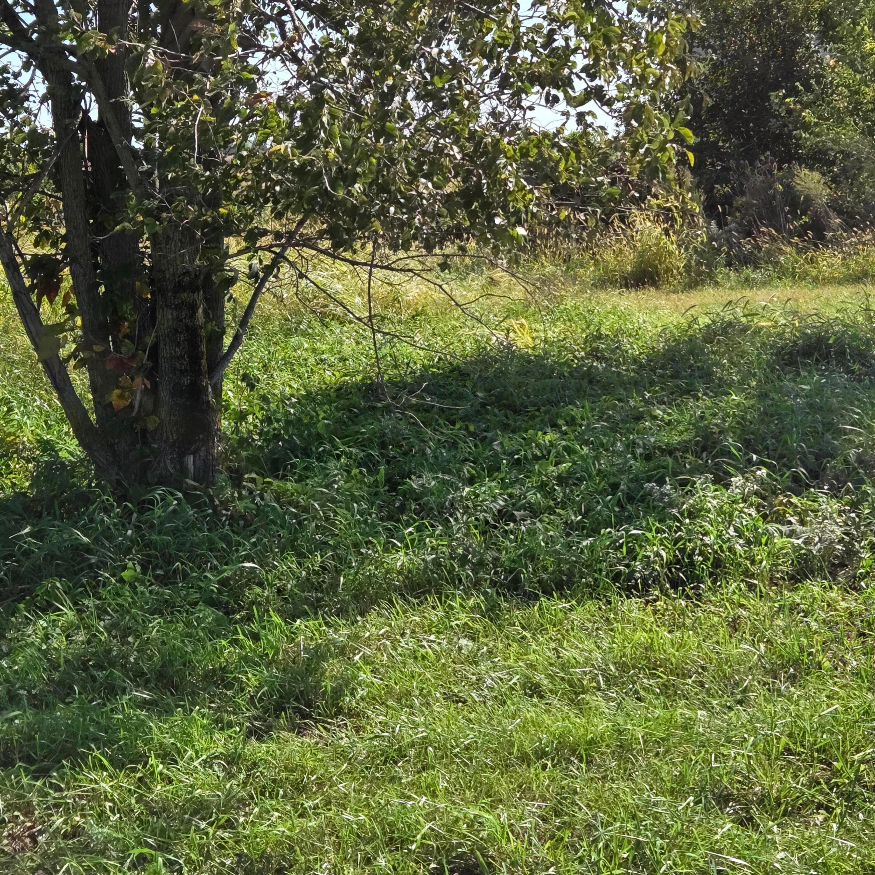 2105 Stonerock Road Property Photo 15