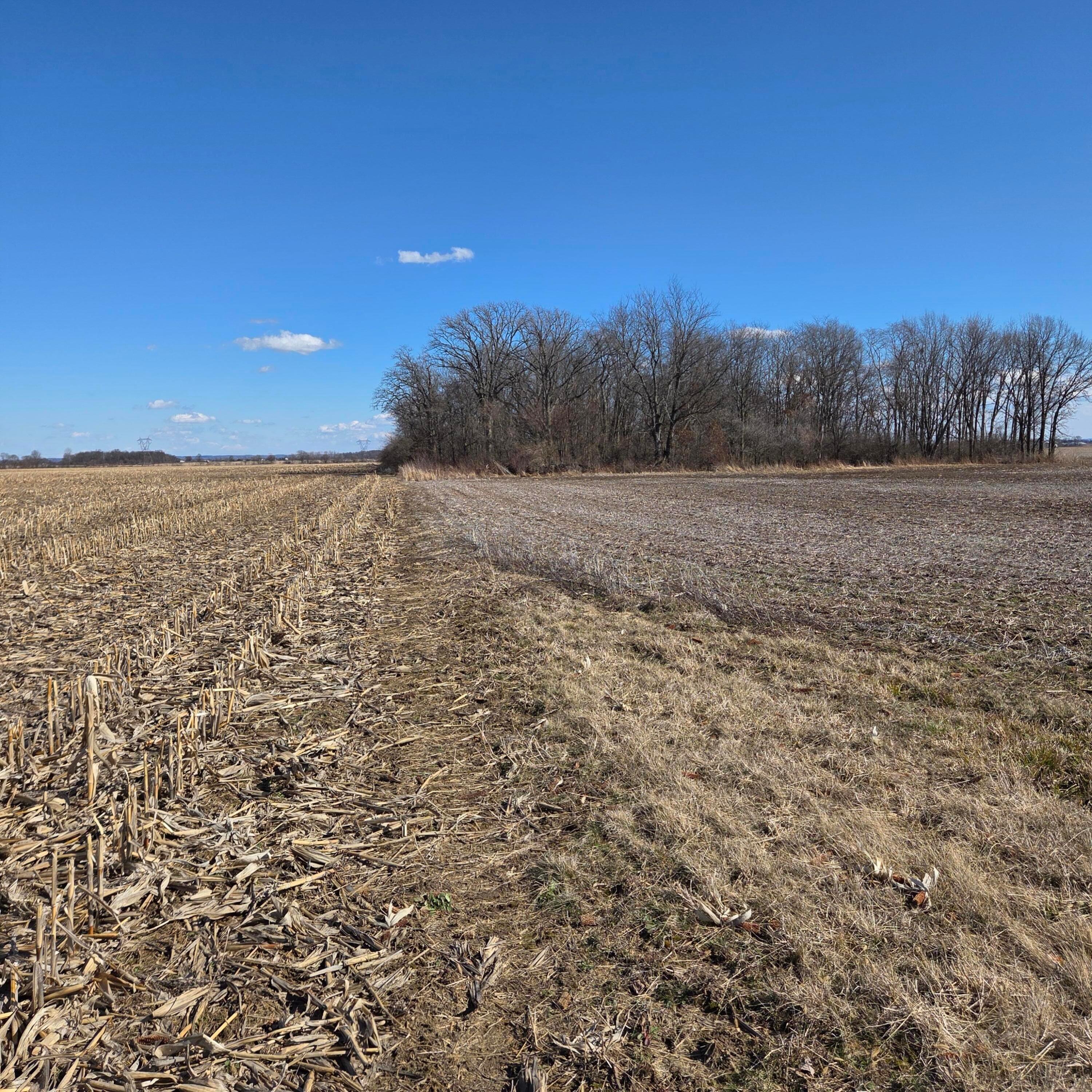 2105 Stonerock Road Property Photo 16