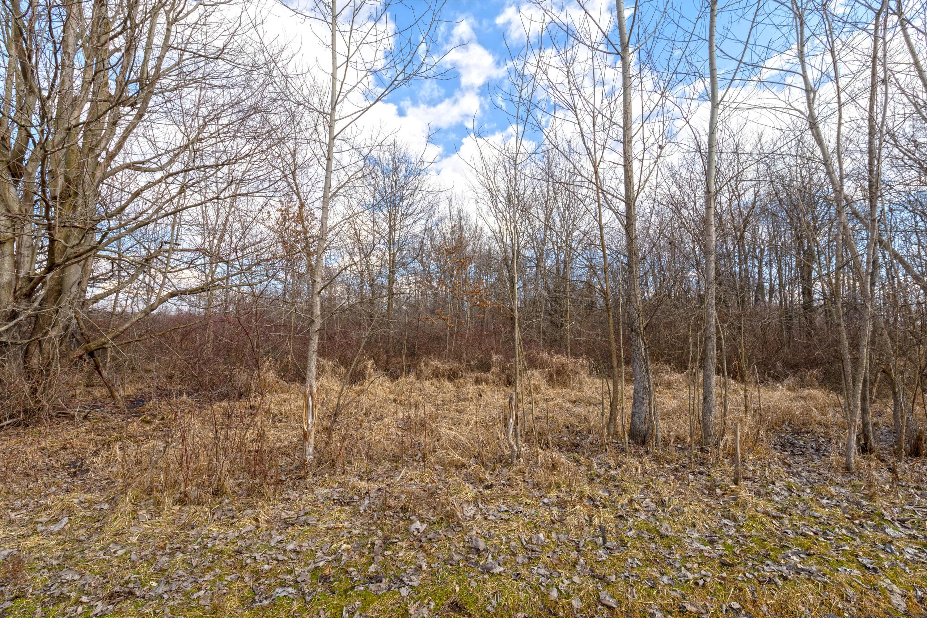 5718 Us Highway 23 N Property Photo 6