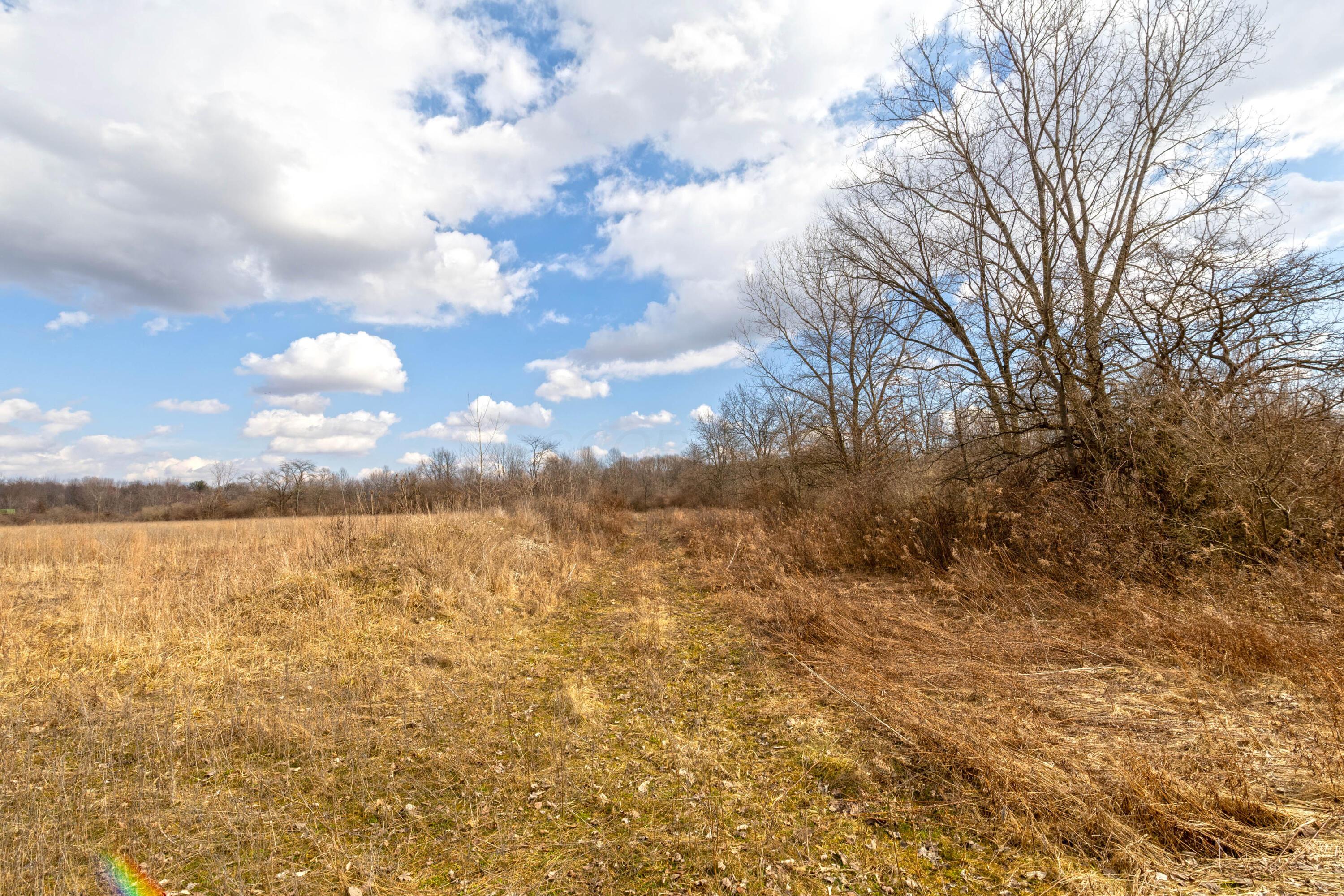 5734 Us Highway 23 N Property Photo 5