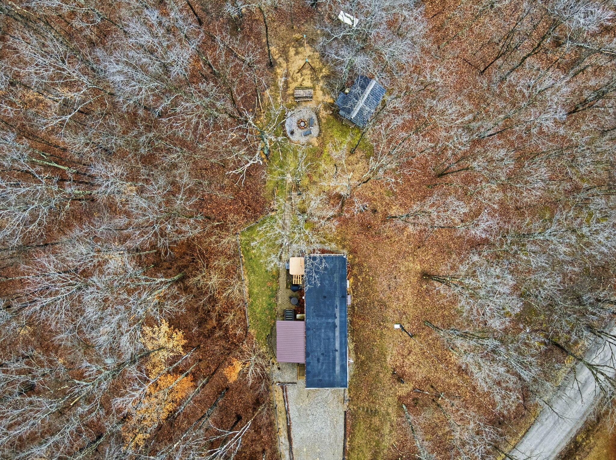 35702 Malone Road Property Photo 87