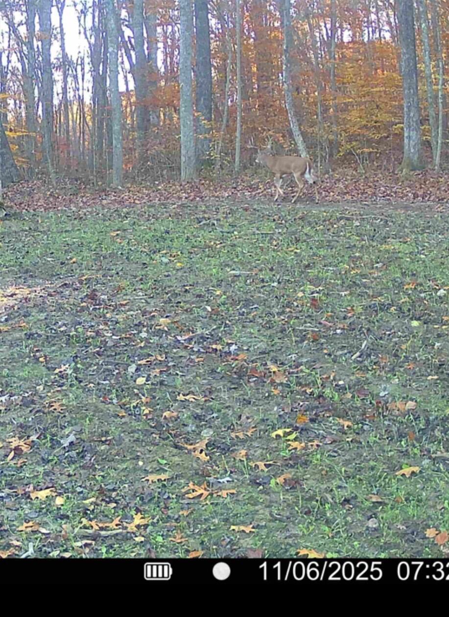 33341 Flat Run Road Property Photo 38