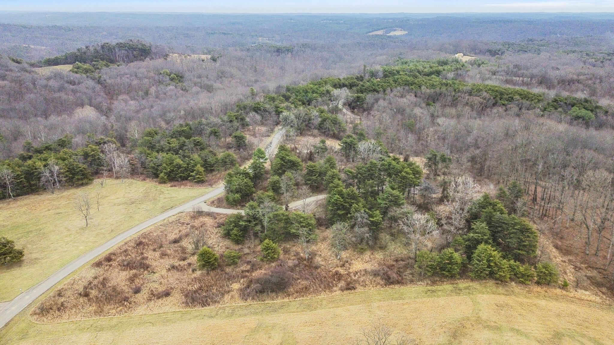 20795 Sterling Road Property Photo 4