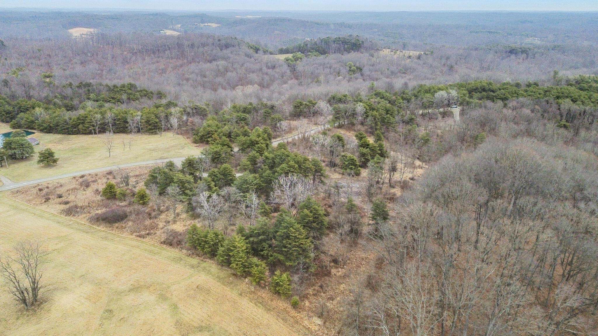 20795 Sterling Road Property Photo 5