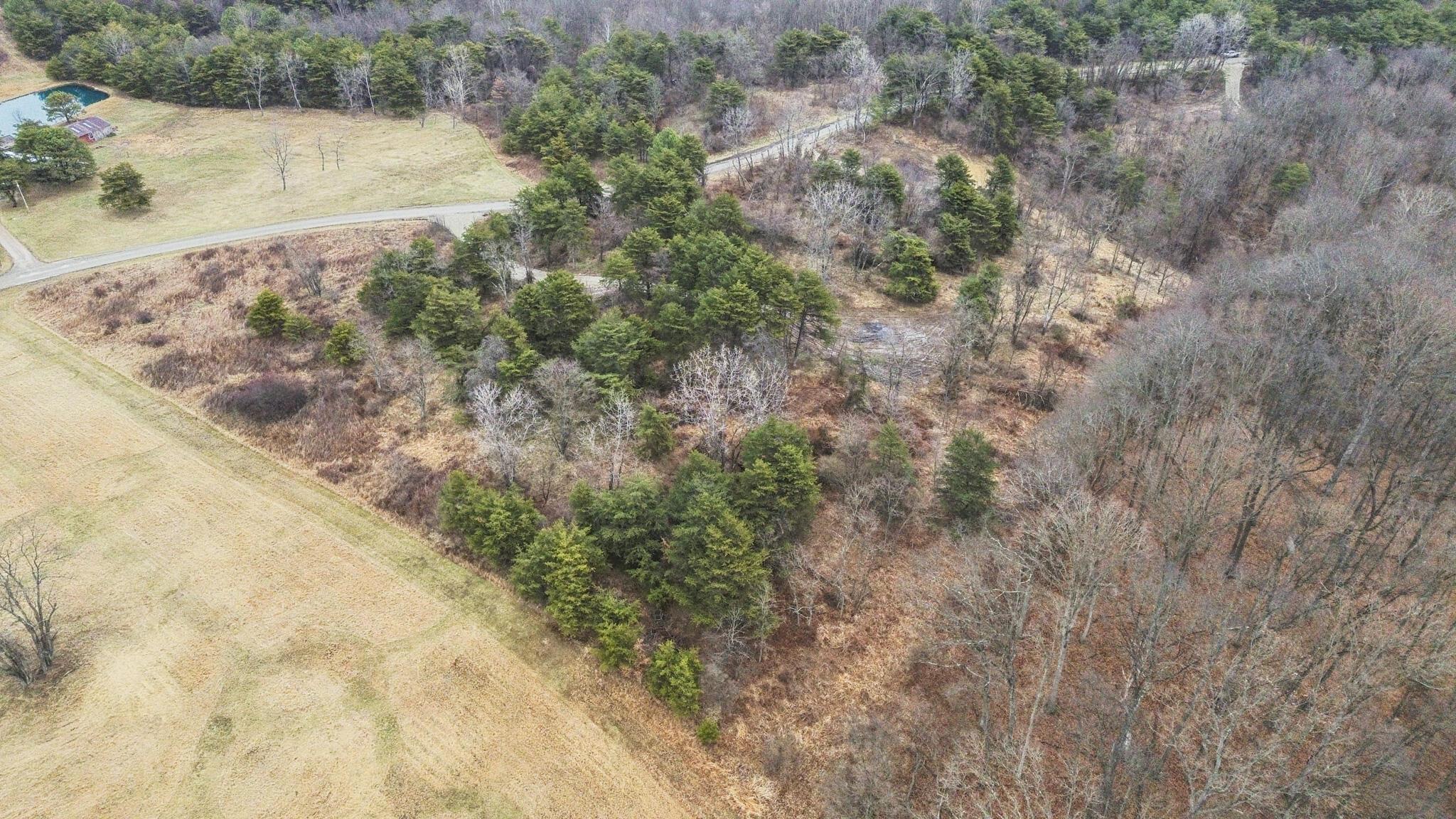 20795 Sterling Road Property Photo 6