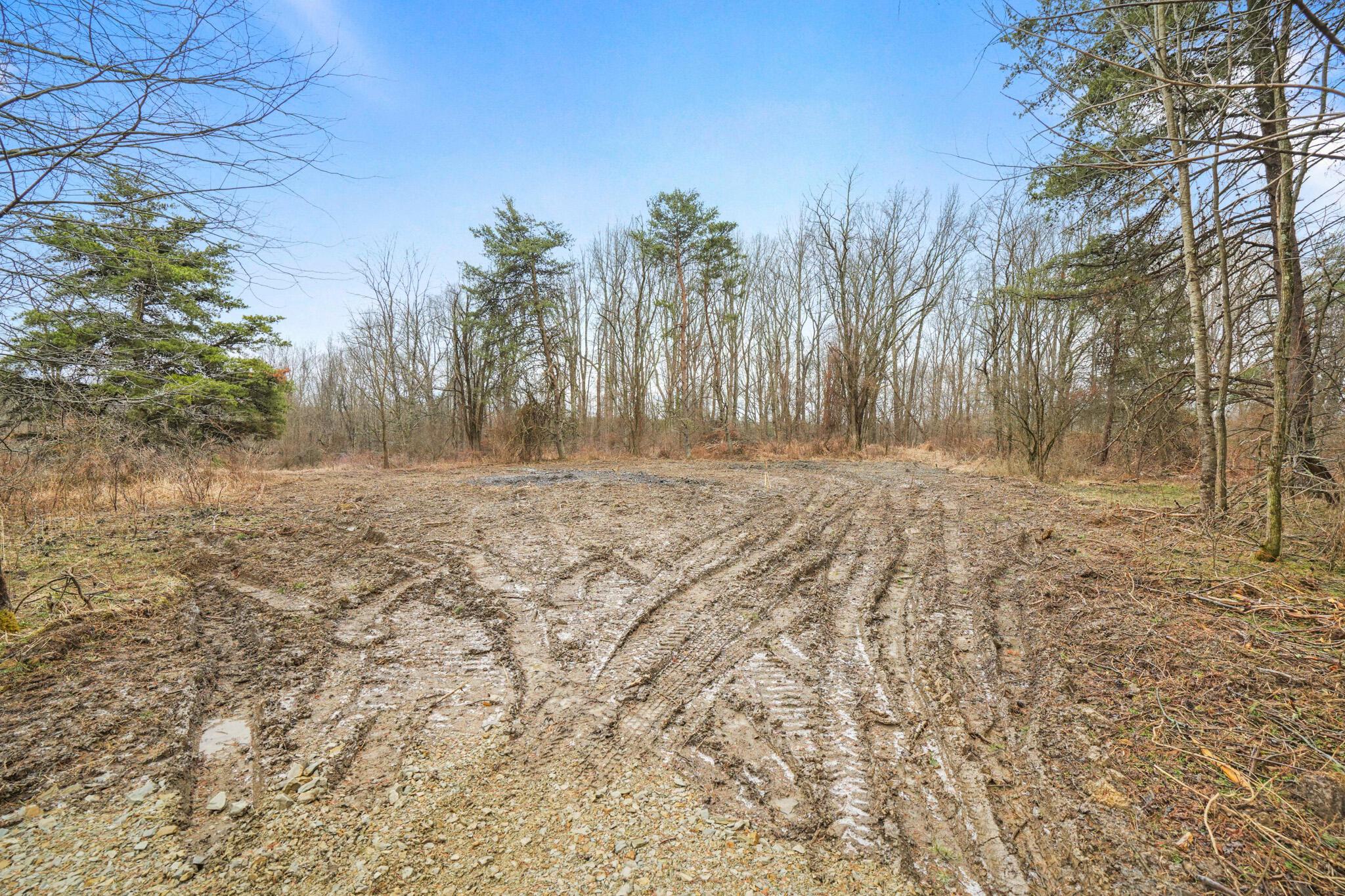 20795 Sterling Road Property Photo 9