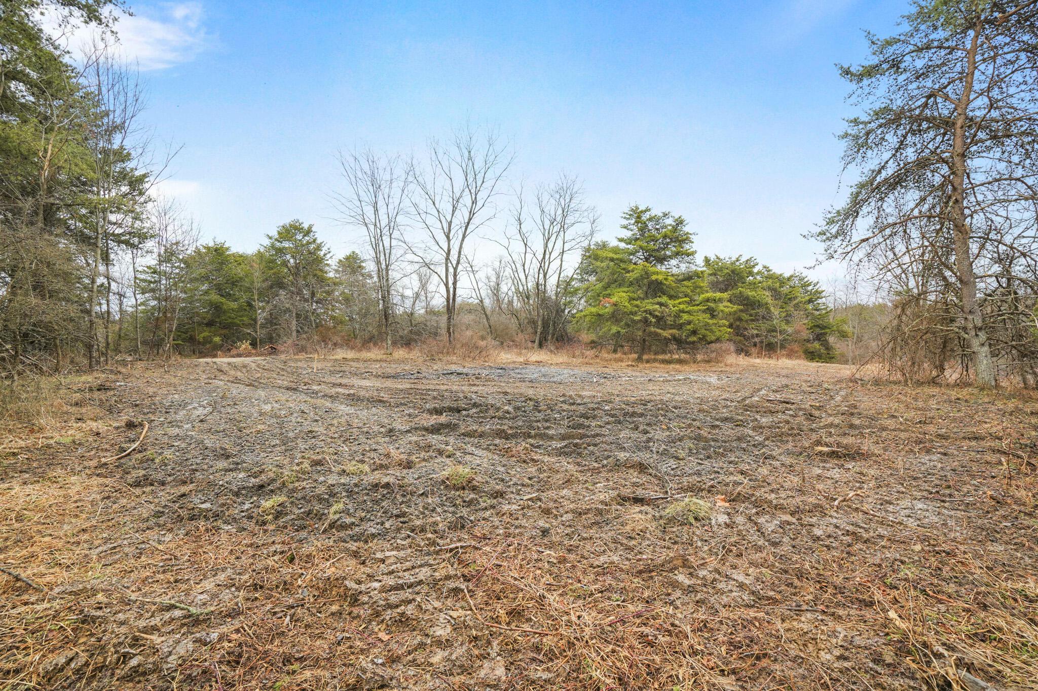 20795 Sterling Road Property Photo 10