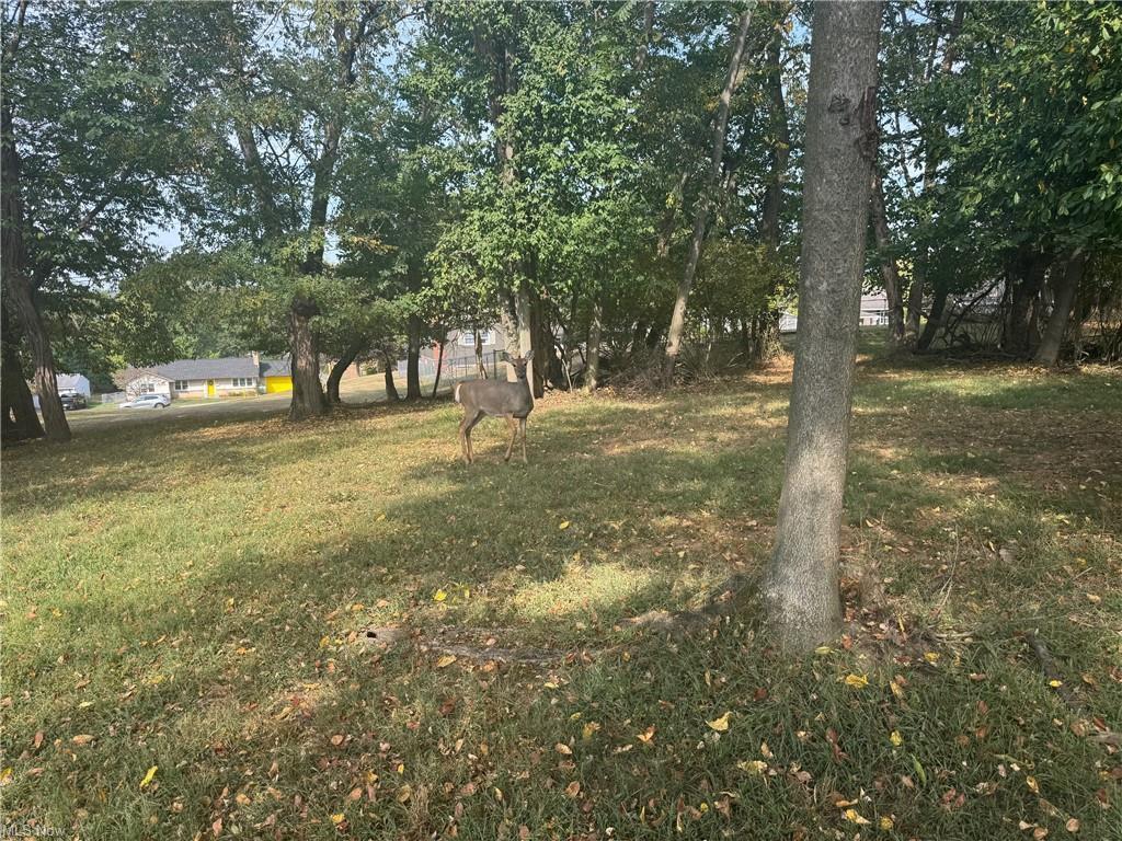 0 W Ray- Lot B Drive Property Photo 7